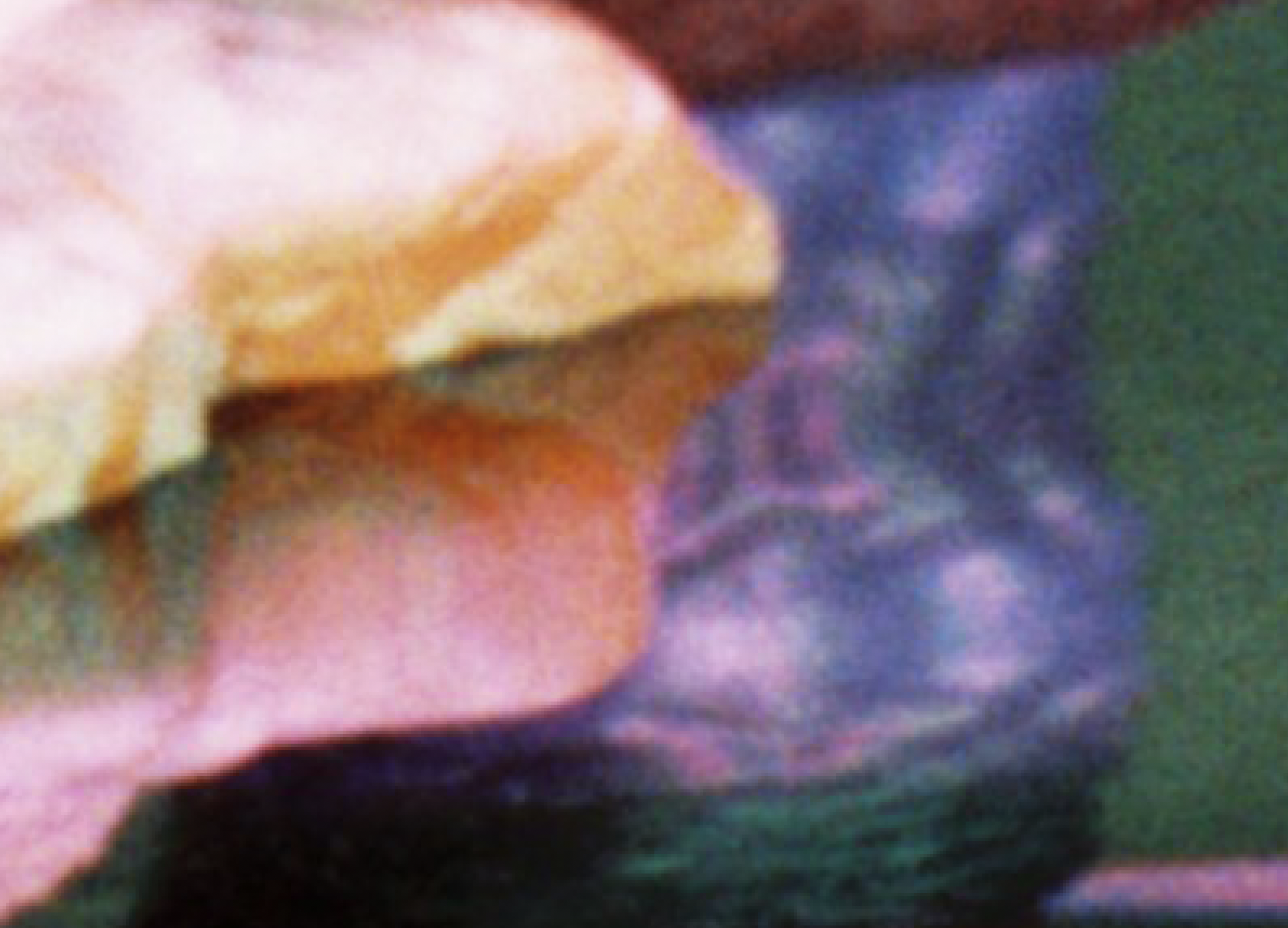 Screenshot 2025-01-27 at 19.31.57.png