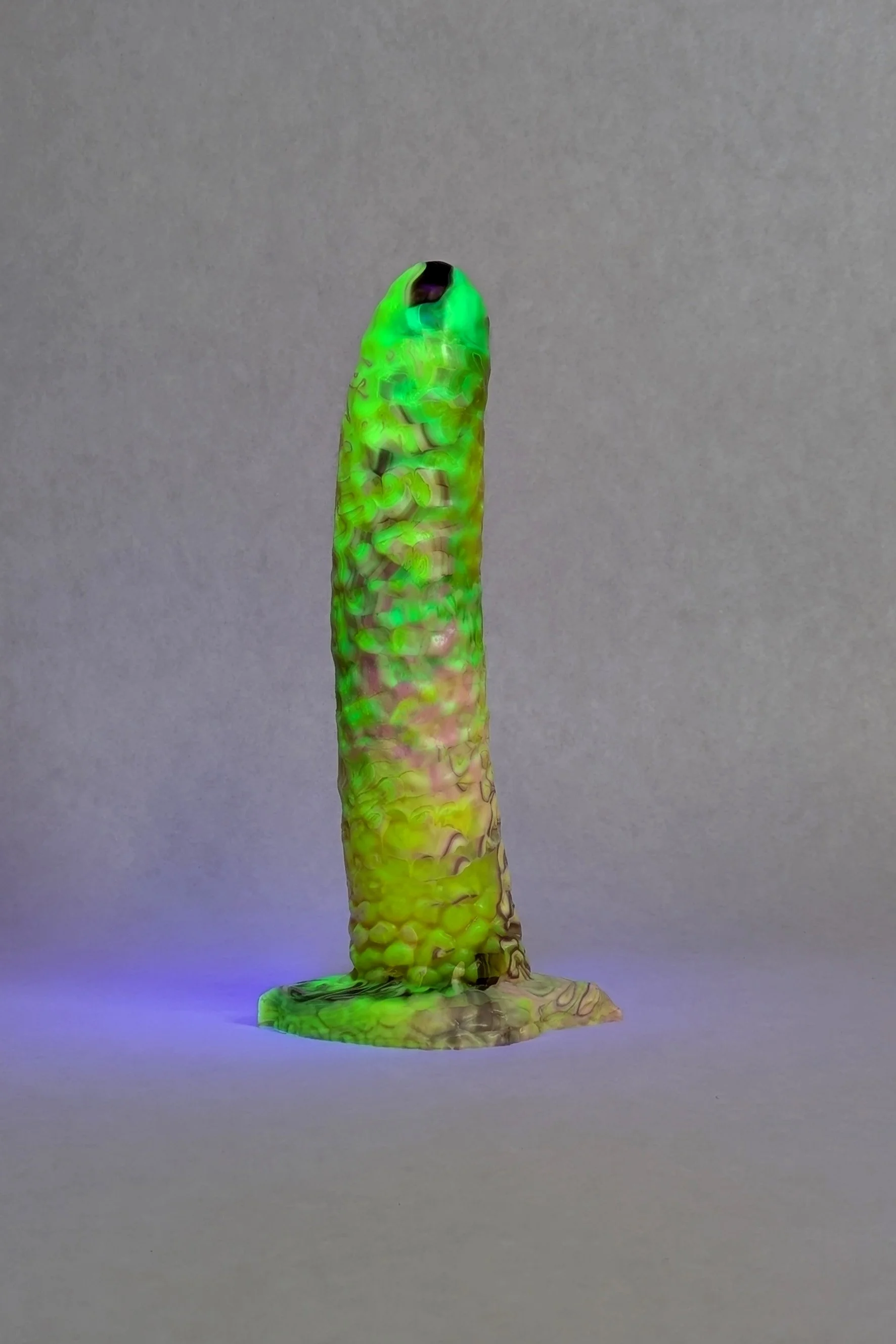 20.10_Monstera_1UV.jpg