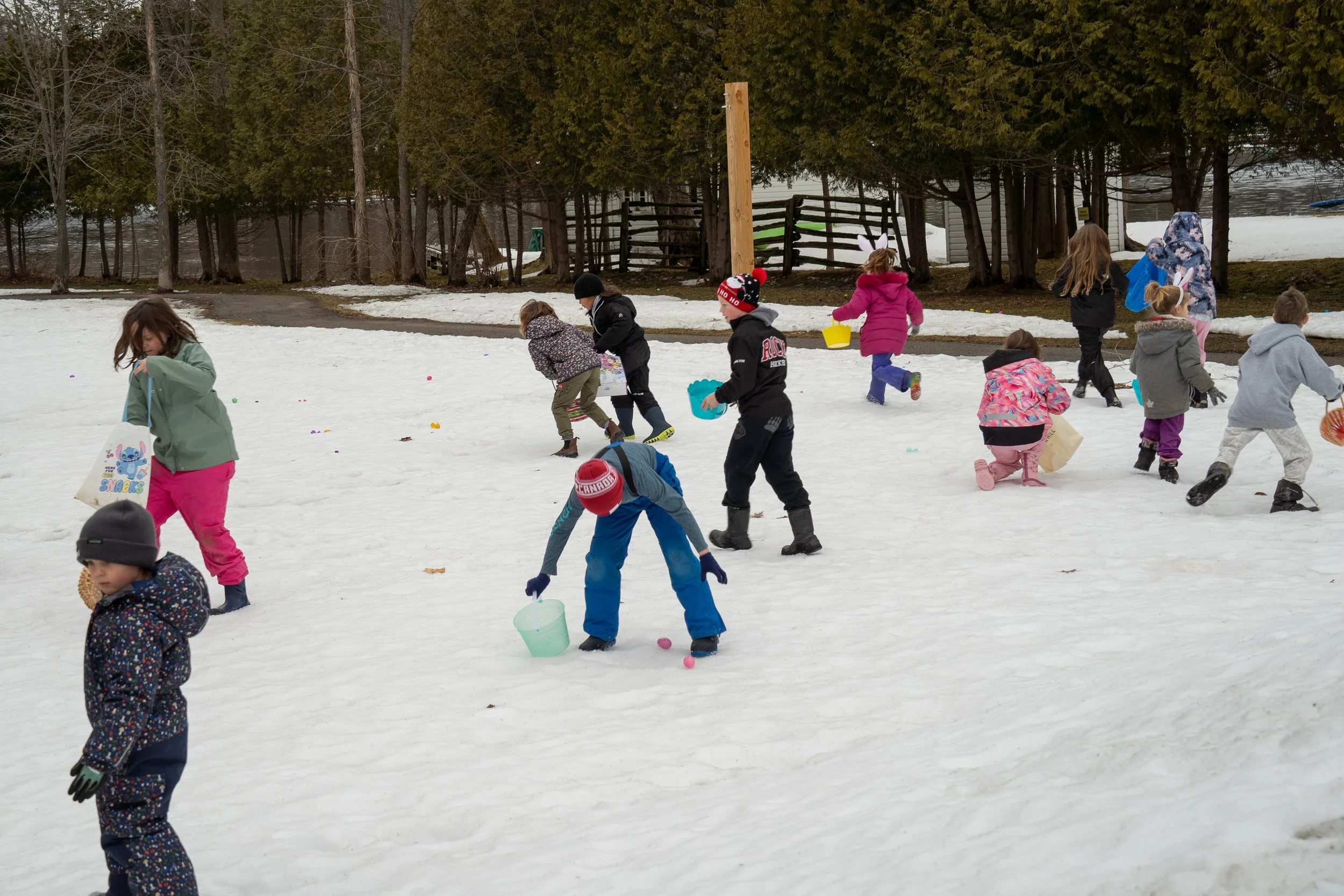 Egg Hunt 2026-07259.jpg