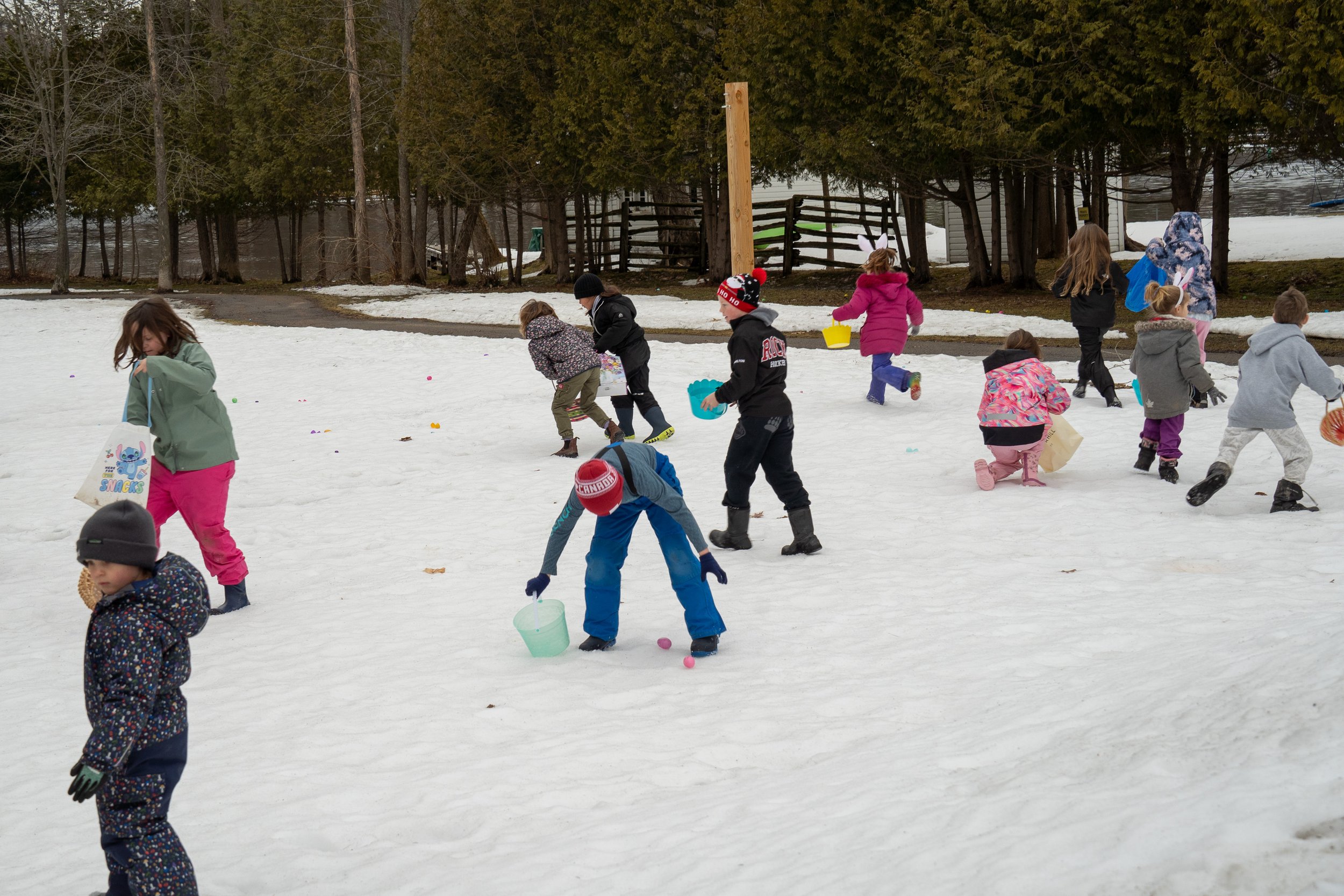 Egg Hunt 2026-07259.jpg