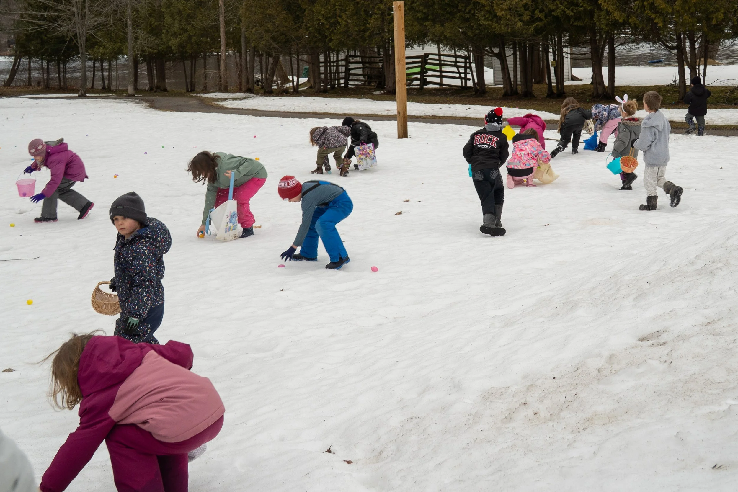 Egg Hunt 2026-07258.jpg