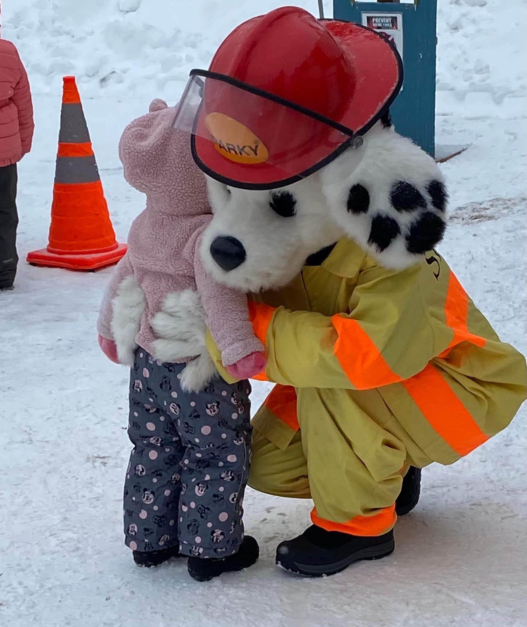 Polar Dip 3.jpg