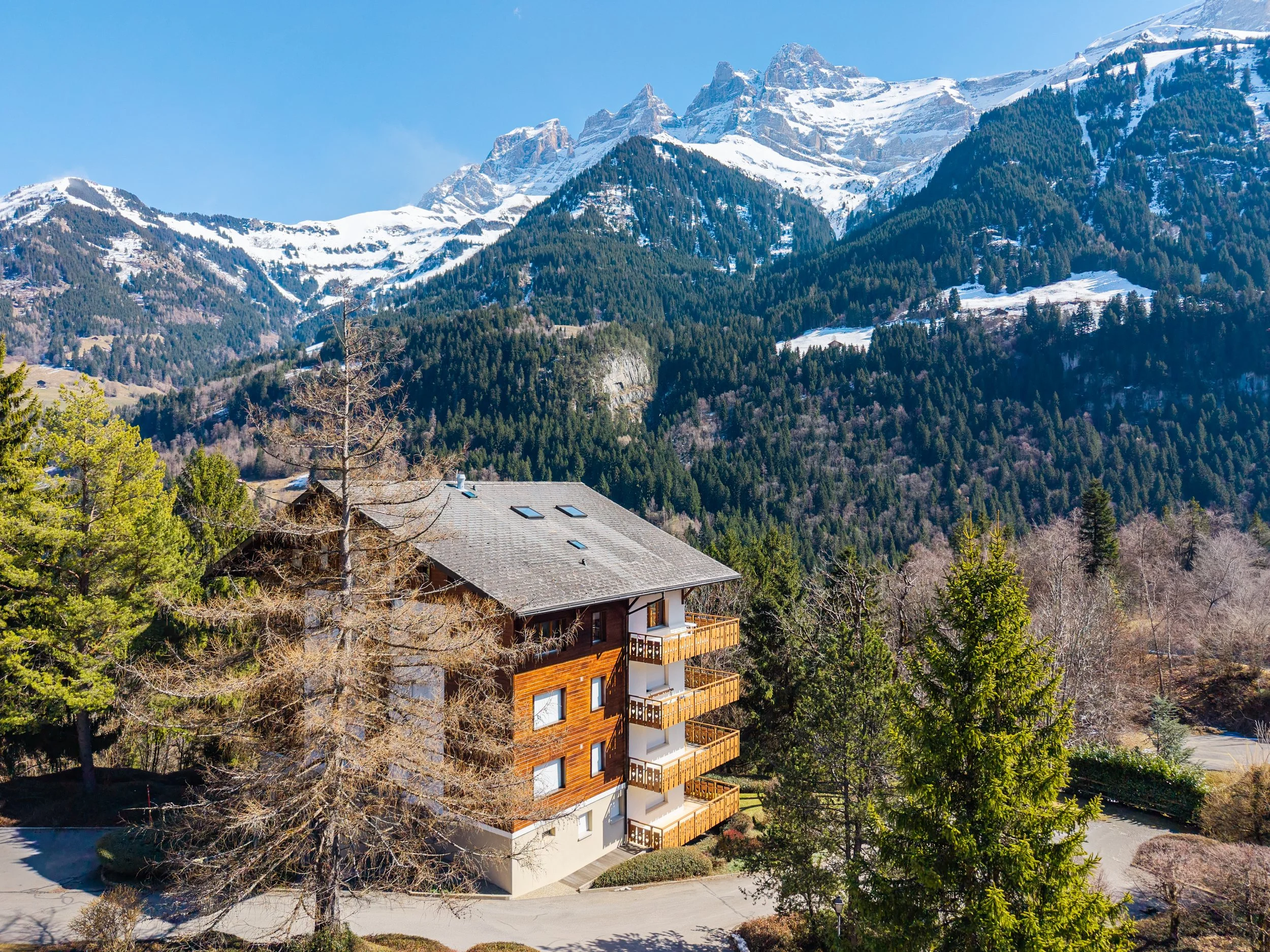 GrandsChamps Drone 1.jpg