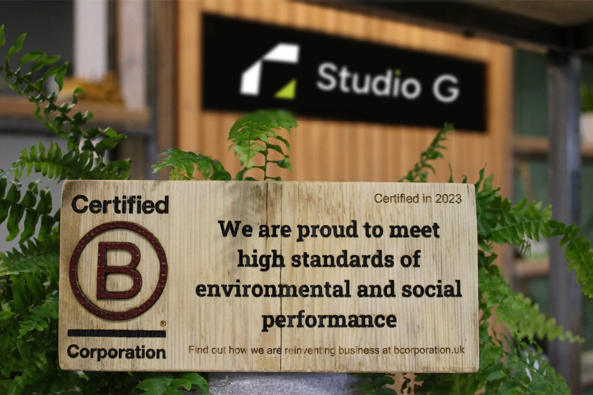 A wooden plaque for 'Studio G' stating they are a Certified B Corporation as of 2023, meeting high standards of environmental and social performance. The plaque is framed by green fern leaves