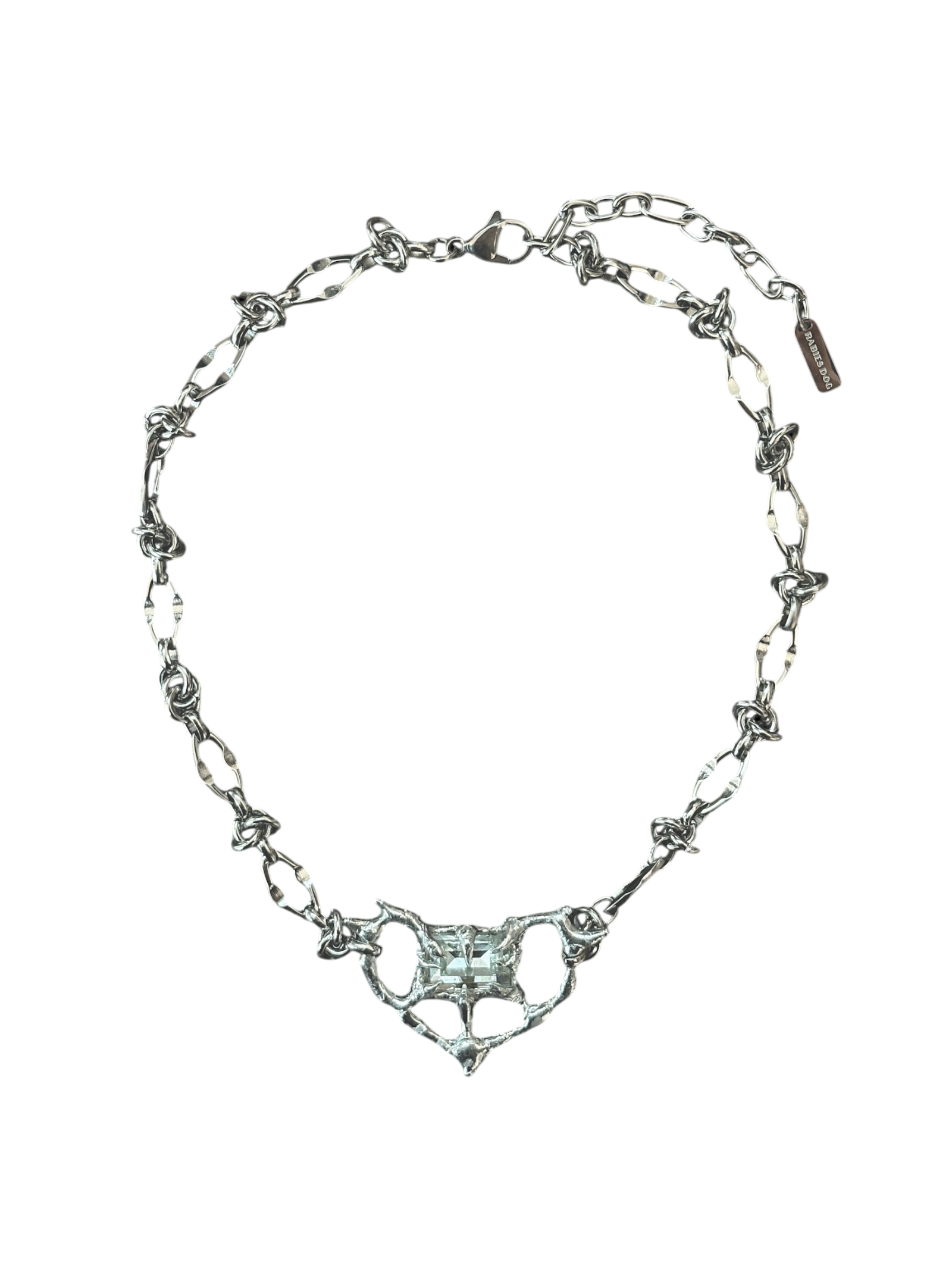 rabies dog Blue Heart Necklace