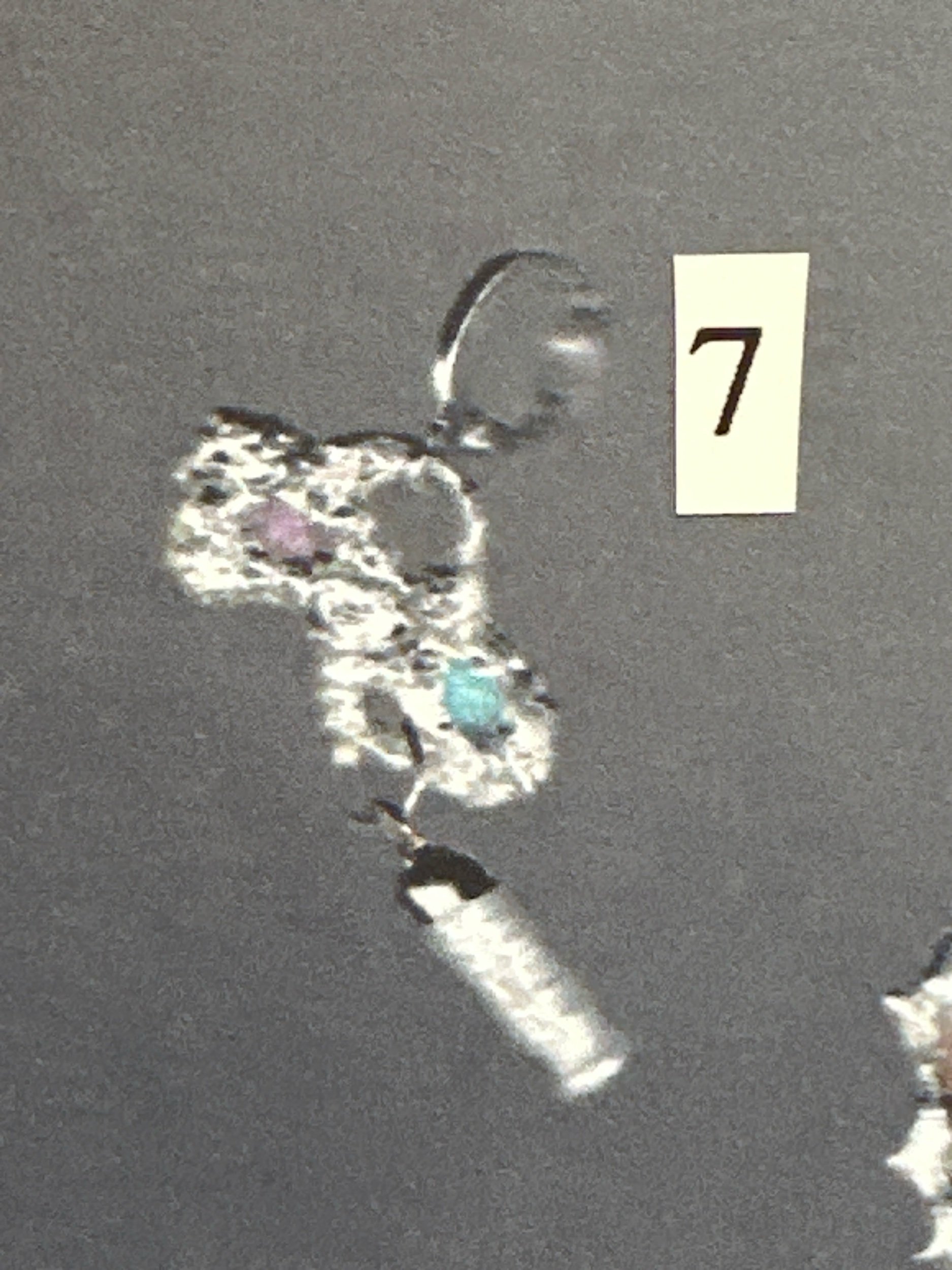 13770419-AD1B-4AED-A39E-06B4D07FB187.jpeg