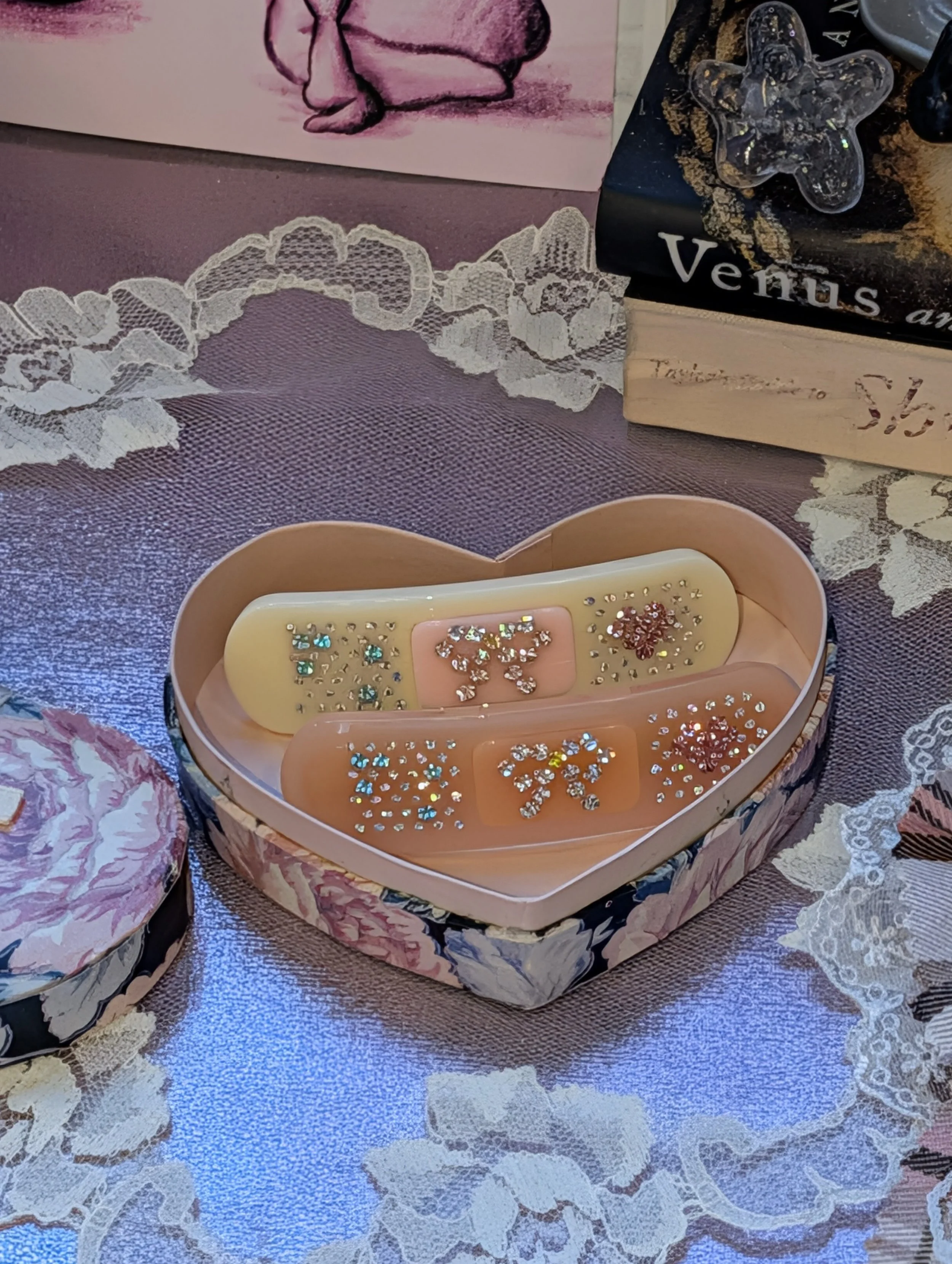 Raspberry Pie Bandage Clip