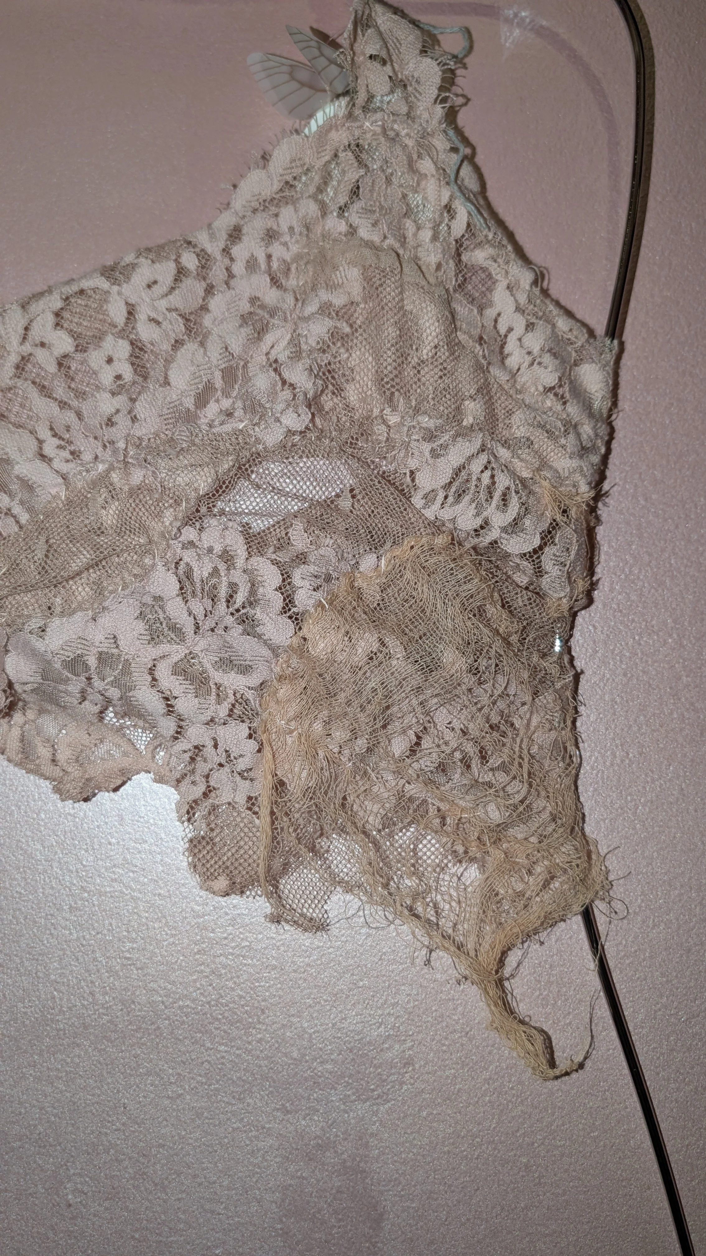 PXL_20260820_195421025.jpg