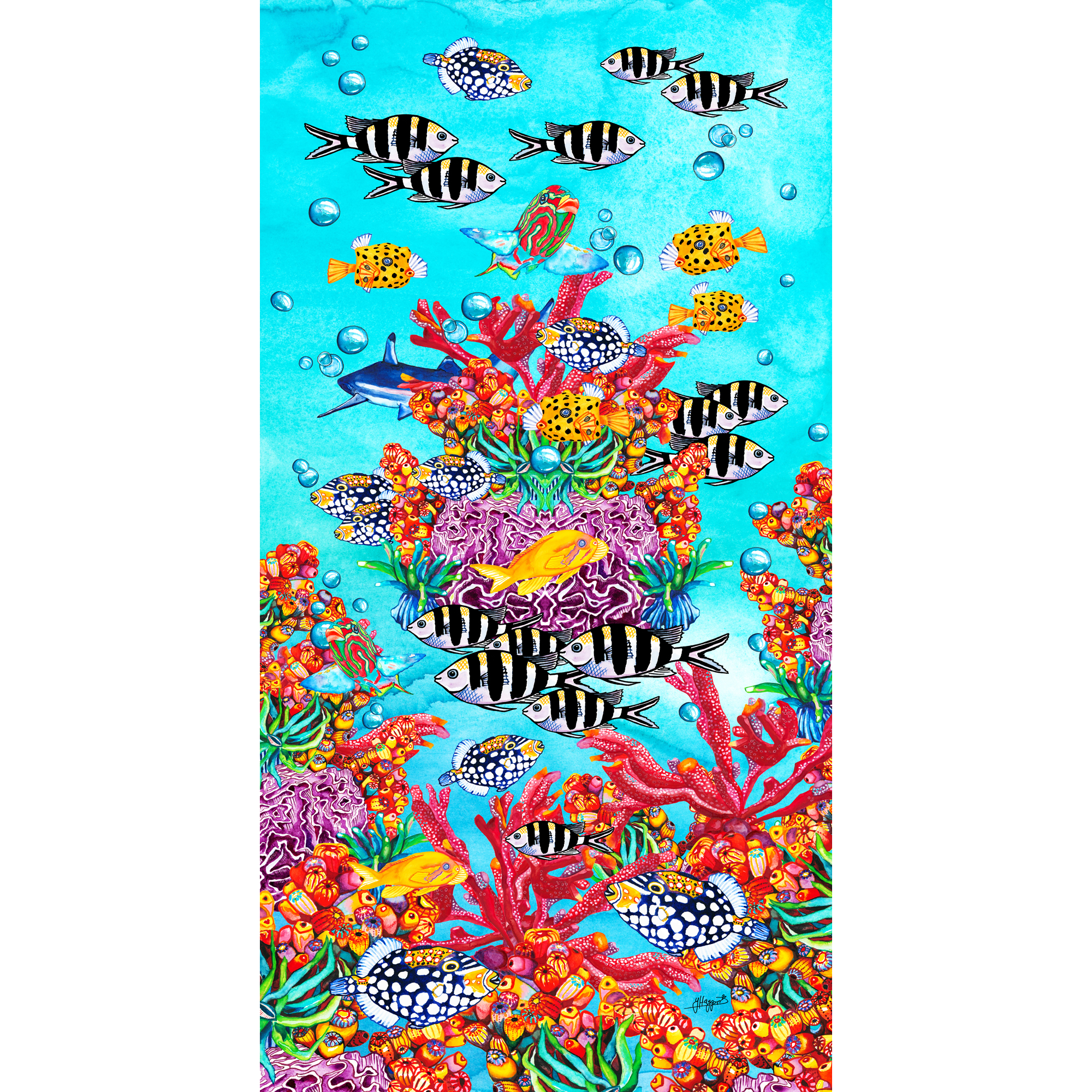 Coral Reef Yvonne web.png