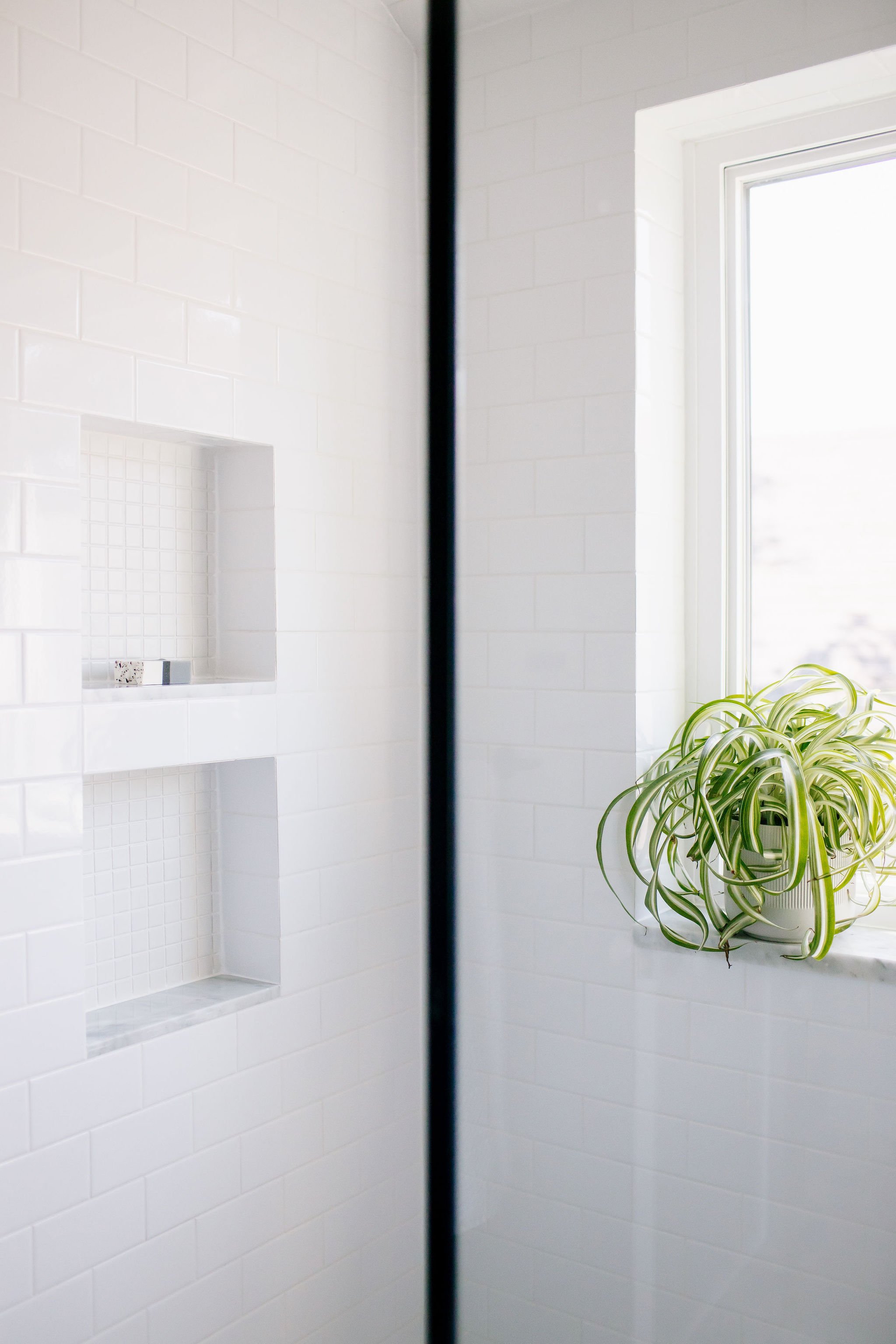 anma-design-studio_Oak-Park-Interior-Designer_web023.jpg
