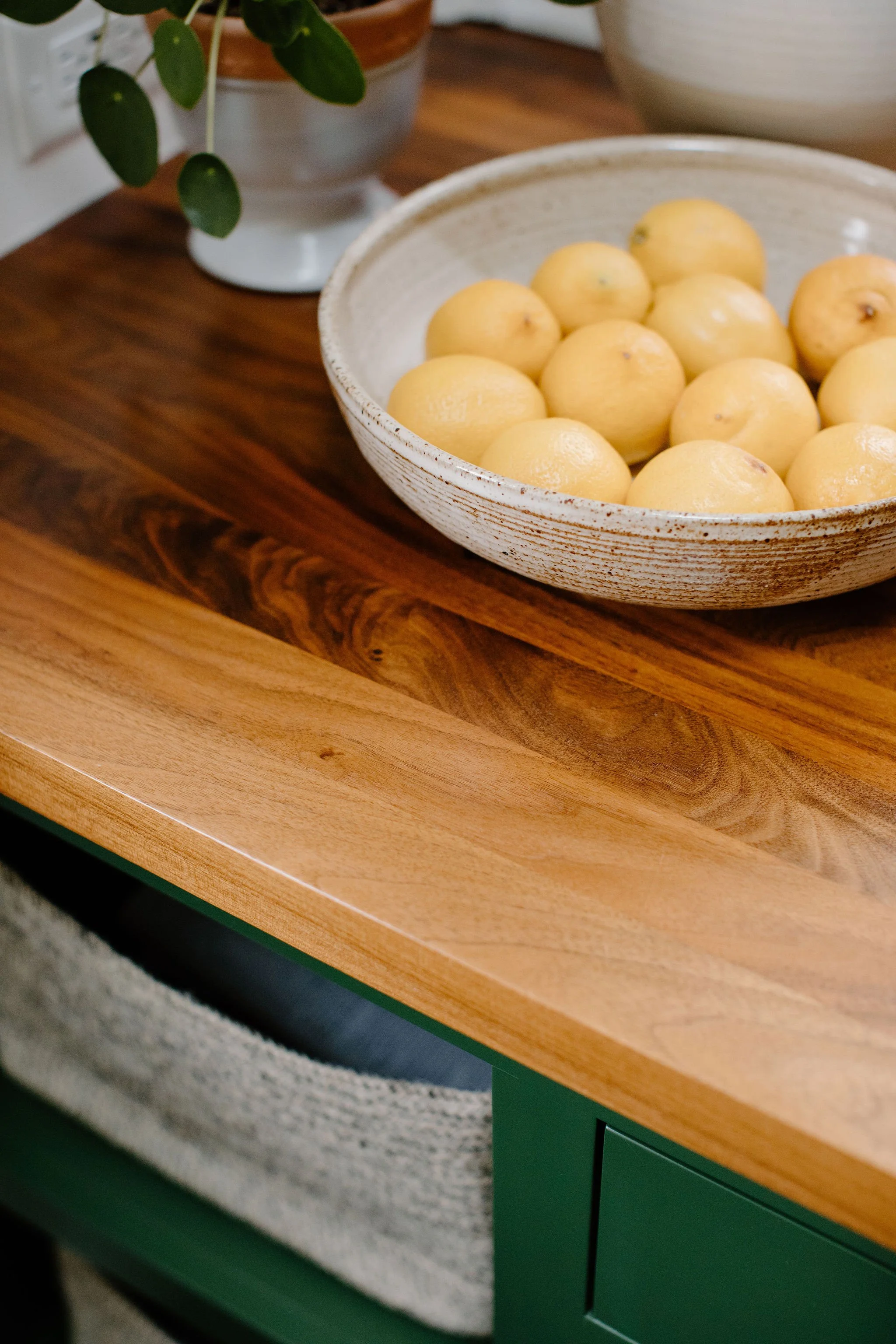 anma-design-studio_Oak-Park-Interior-Designer_web-058.jpg