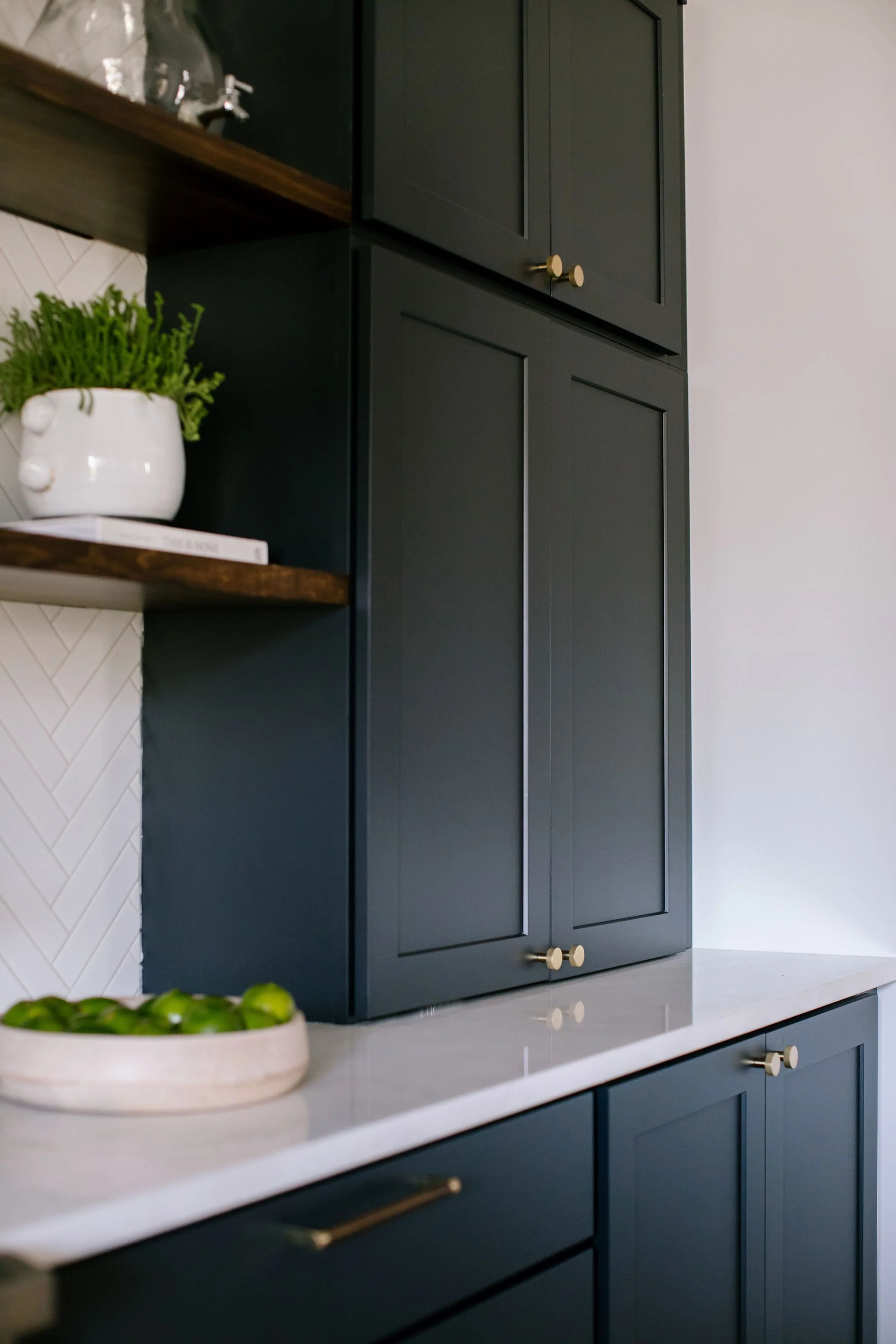 anma-design-studio_Oak-Park-Interior-Designer_web019.jpg