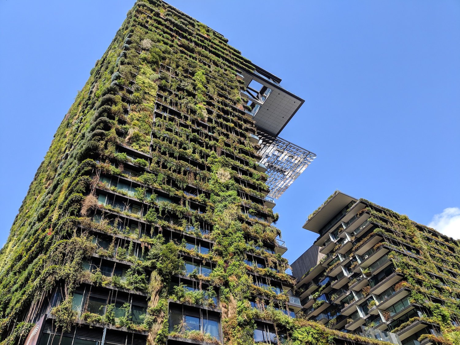One_Central_Park_Sydney_Scala.jpeg