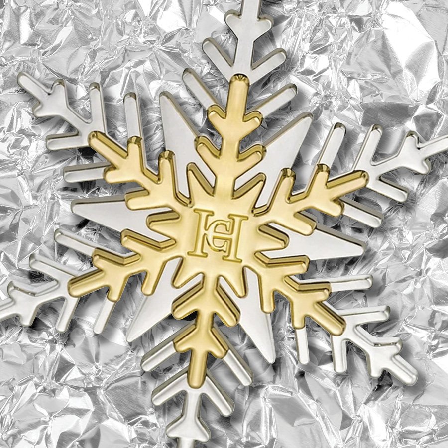 HF_site_web_portfolio_snowflake2.jpg