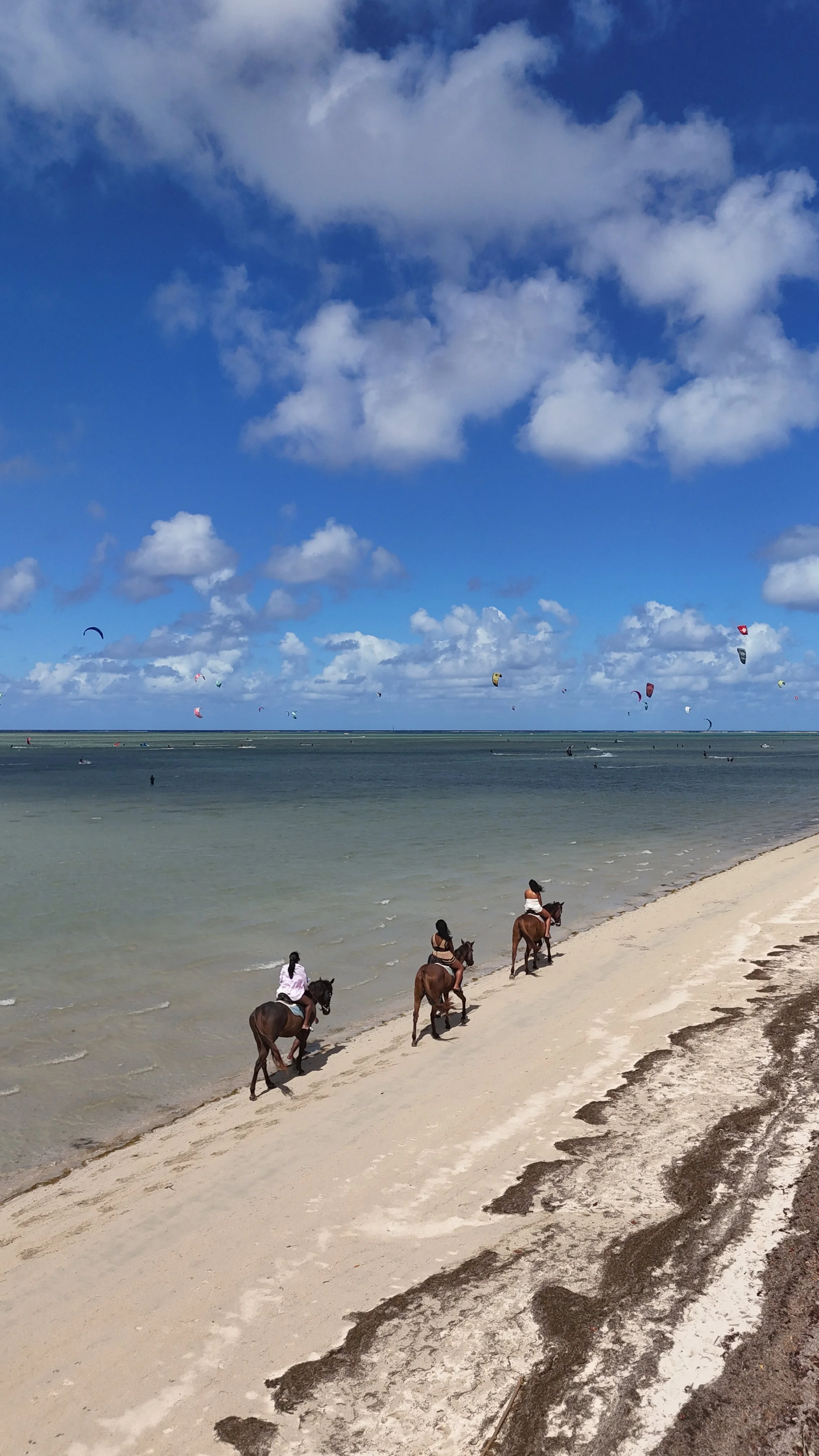 DJI_20250814114600_0275_D.JPG