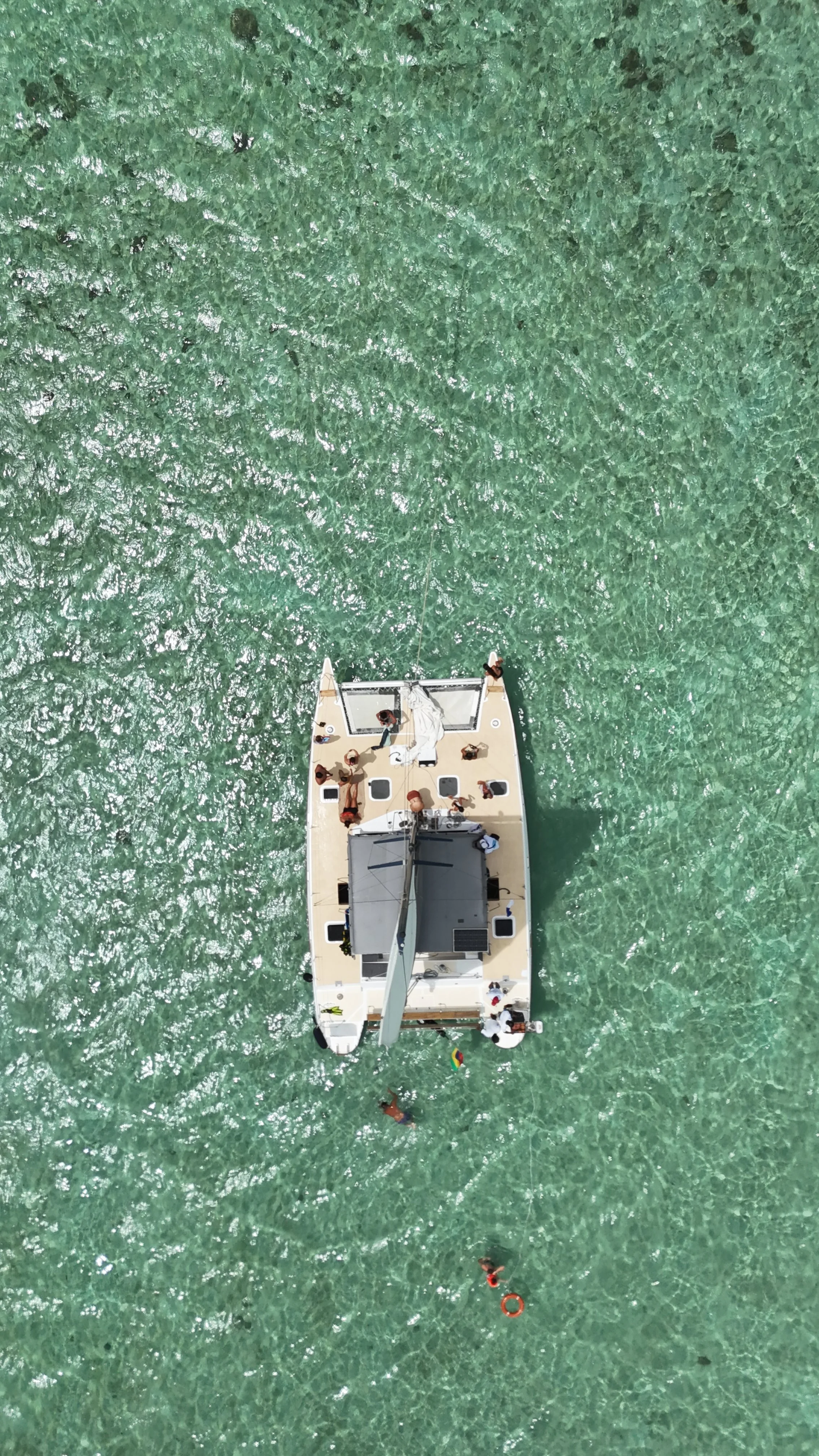 DJI_20260312115045_0173_D.JPG