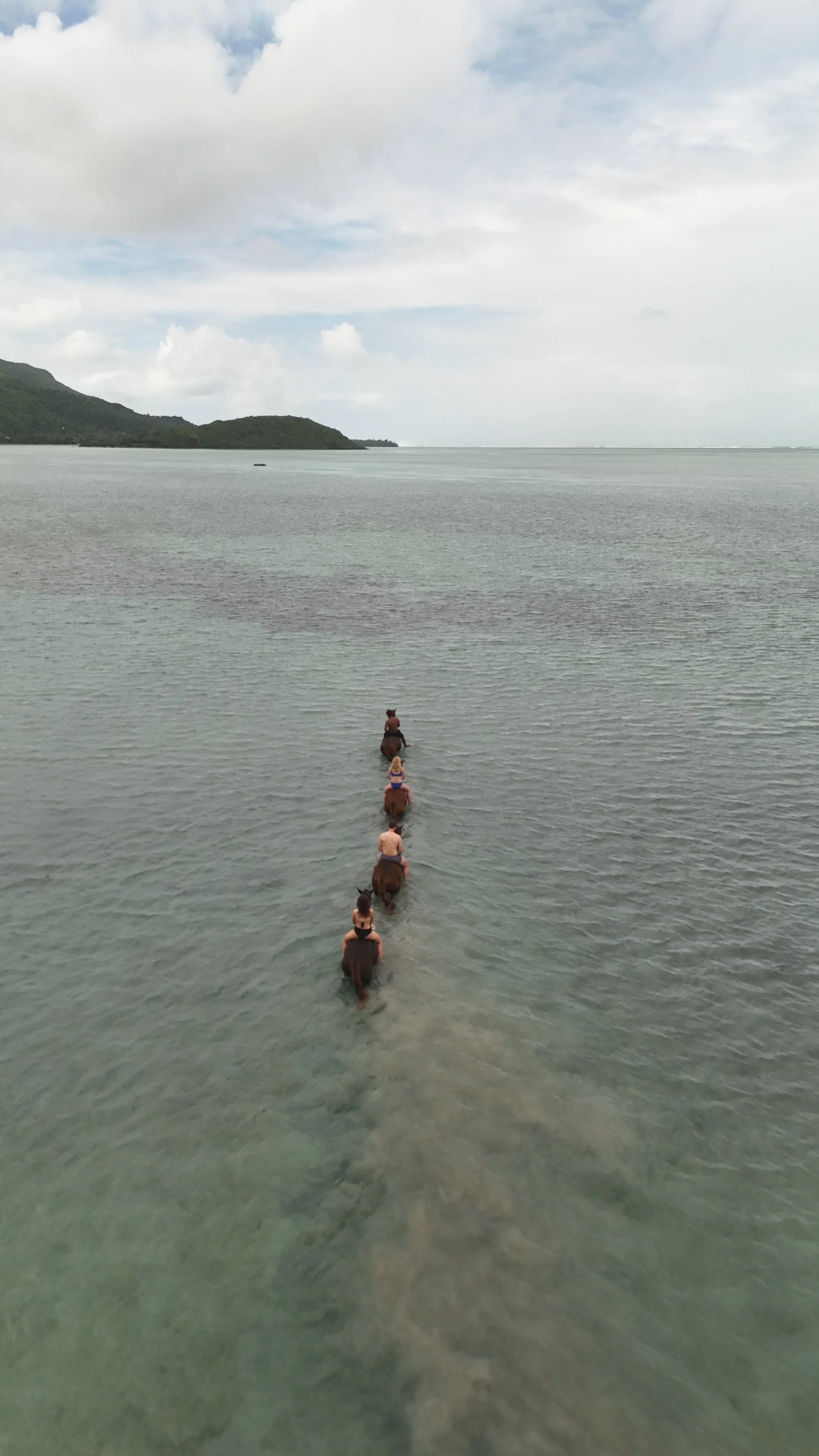 DJI_20260509105345_0429_D.JPG