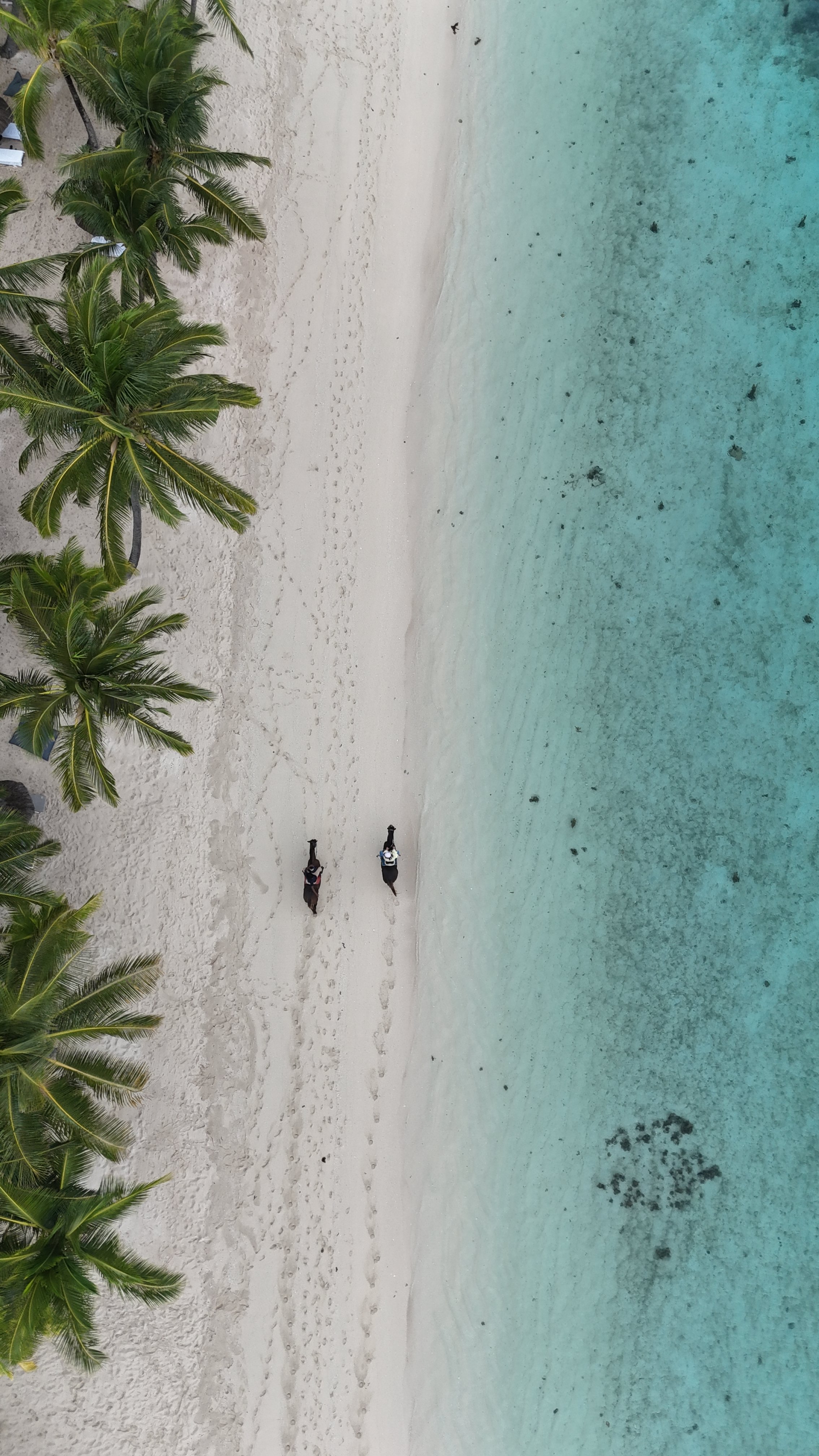 DJI_20260509101219_0388_D.JPG