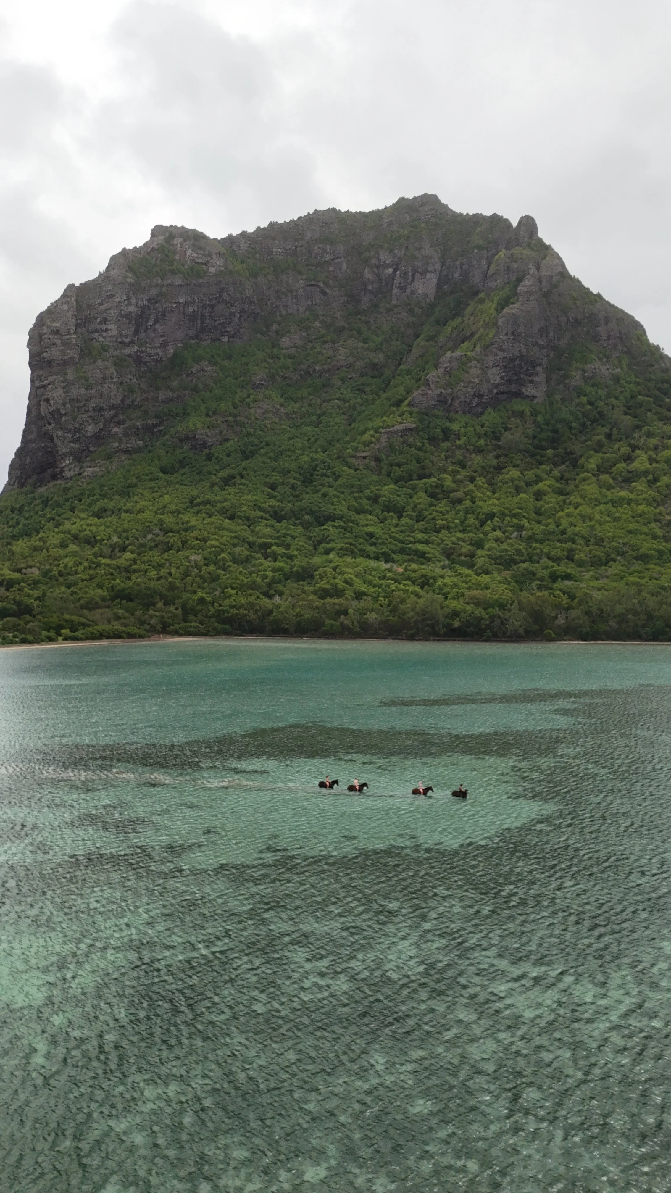 DJI_20260509105557_0437_D.JPG