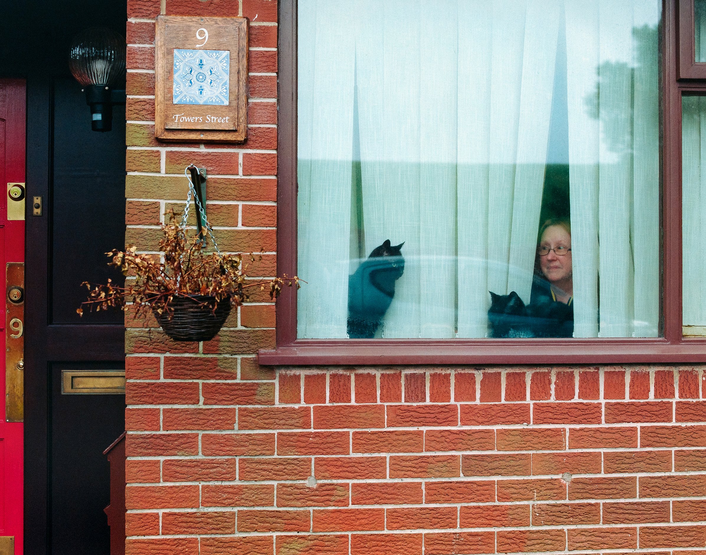 24.01 - Mum at the window with cats.jpg