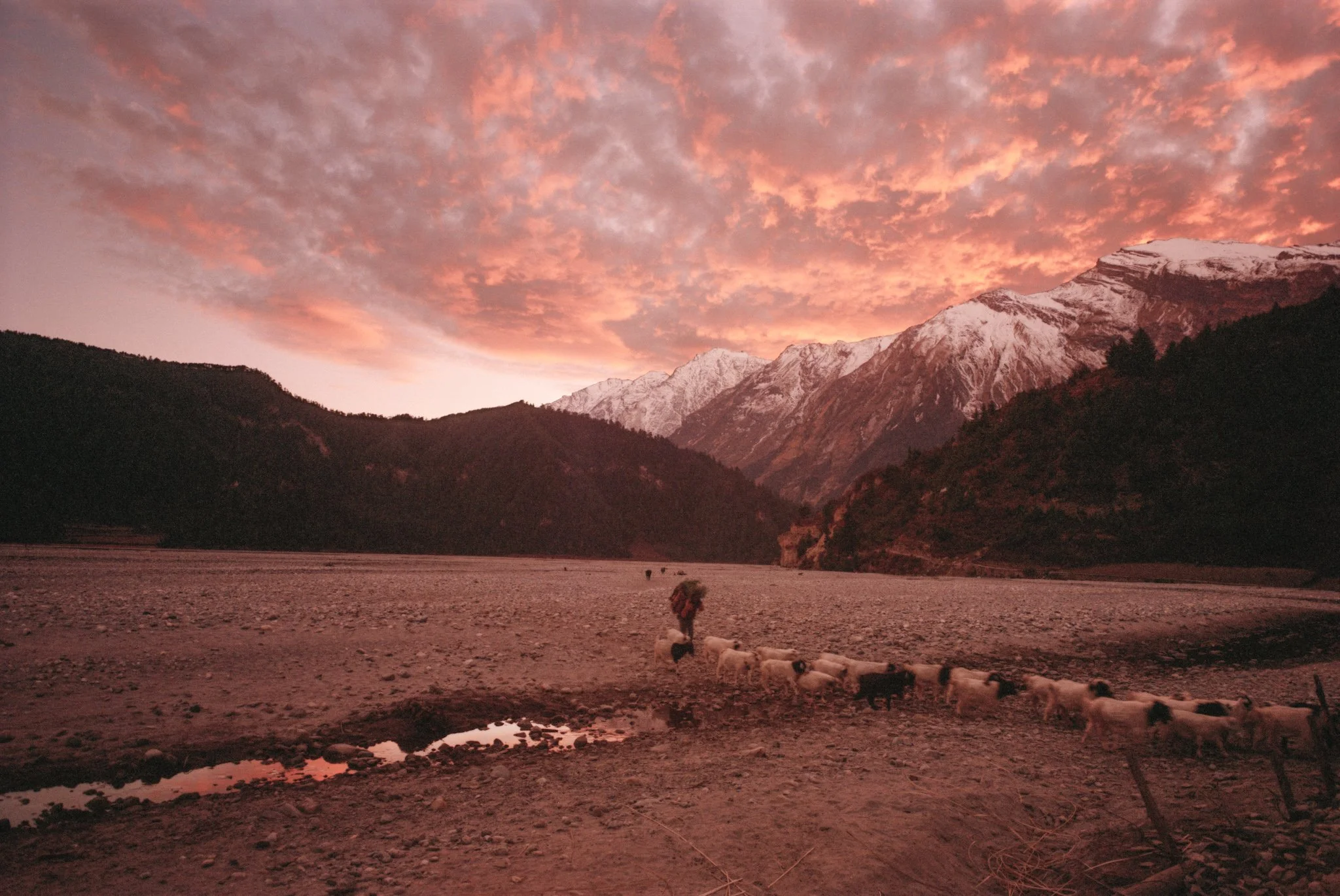 larjung, thak kola, nepal.jpeg