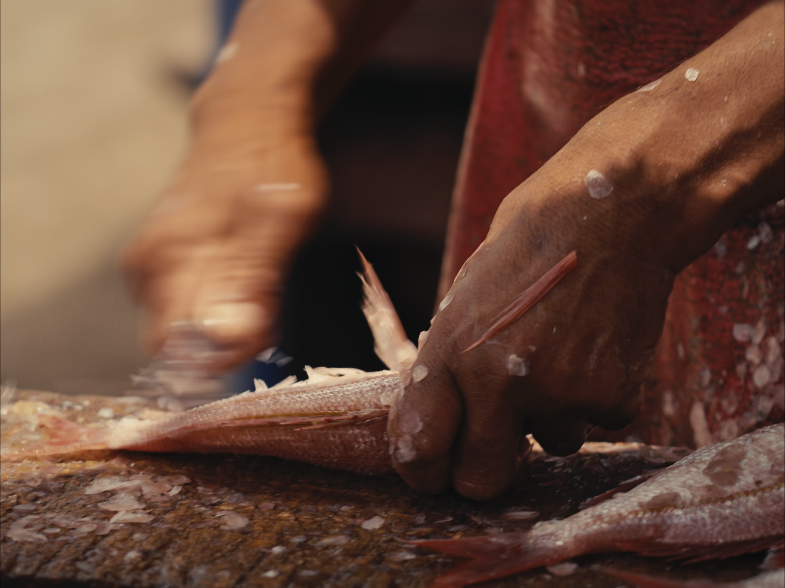 Scherm­afbeelding 2026-02-28 om 22.29.05.png