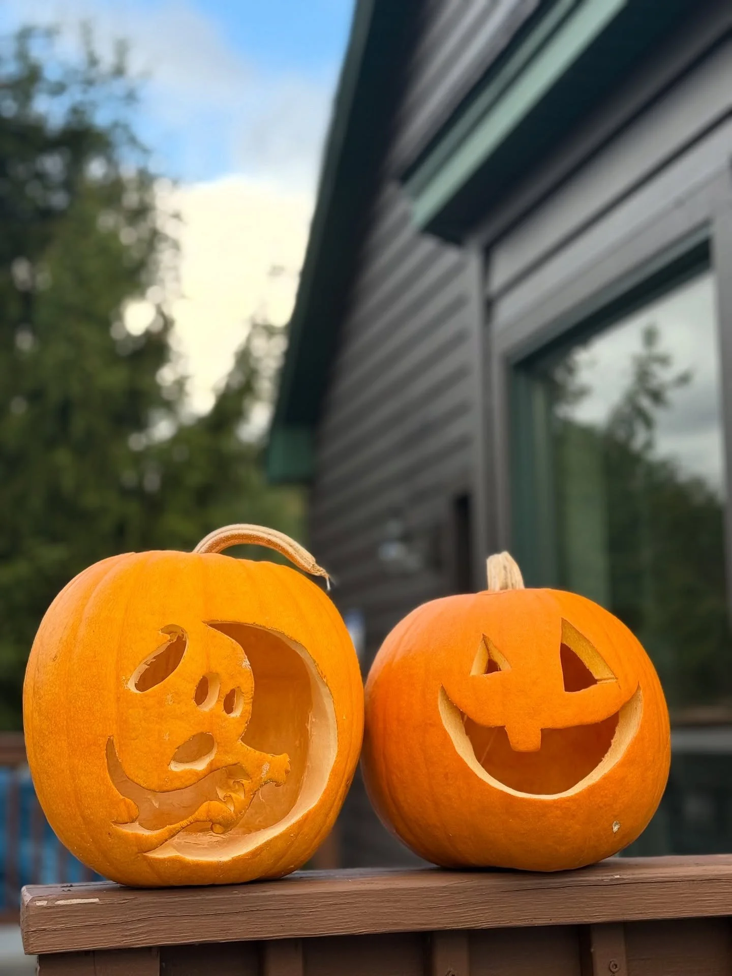 Halloween is right around the corner and we&rsquo;ve still got some openings for the weekend 🎃

If you&rsquo;re looking for a cozy autumn getaway that still has tons of Halloween celebrations, we&rsquo;ve got you covered.

Check out our latest blog 