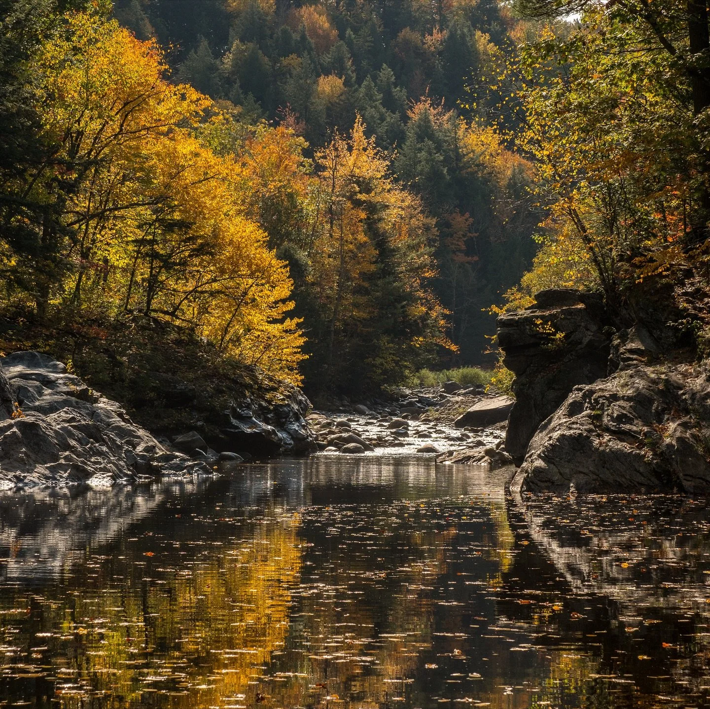 We wanted to take one last moment (hello snow!❄️) to share the beauty of Fall in the Sunday River region. 

We&rsquo;re grateful to live in such a magical place. Book your stay to see for yourself | VisitSundayRiver.com

📸All photos by the owner him