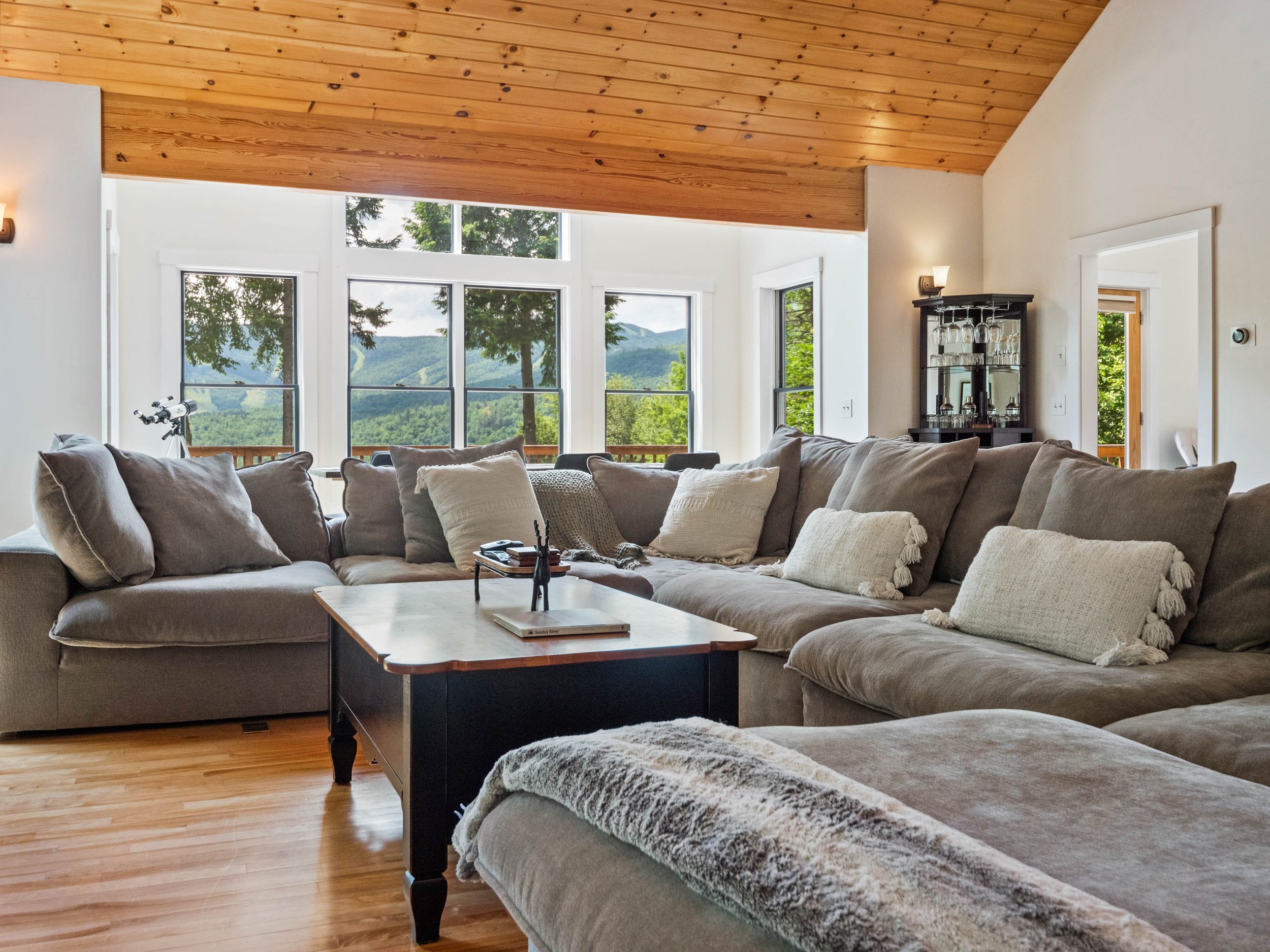 Treetop new couch-7.jpg