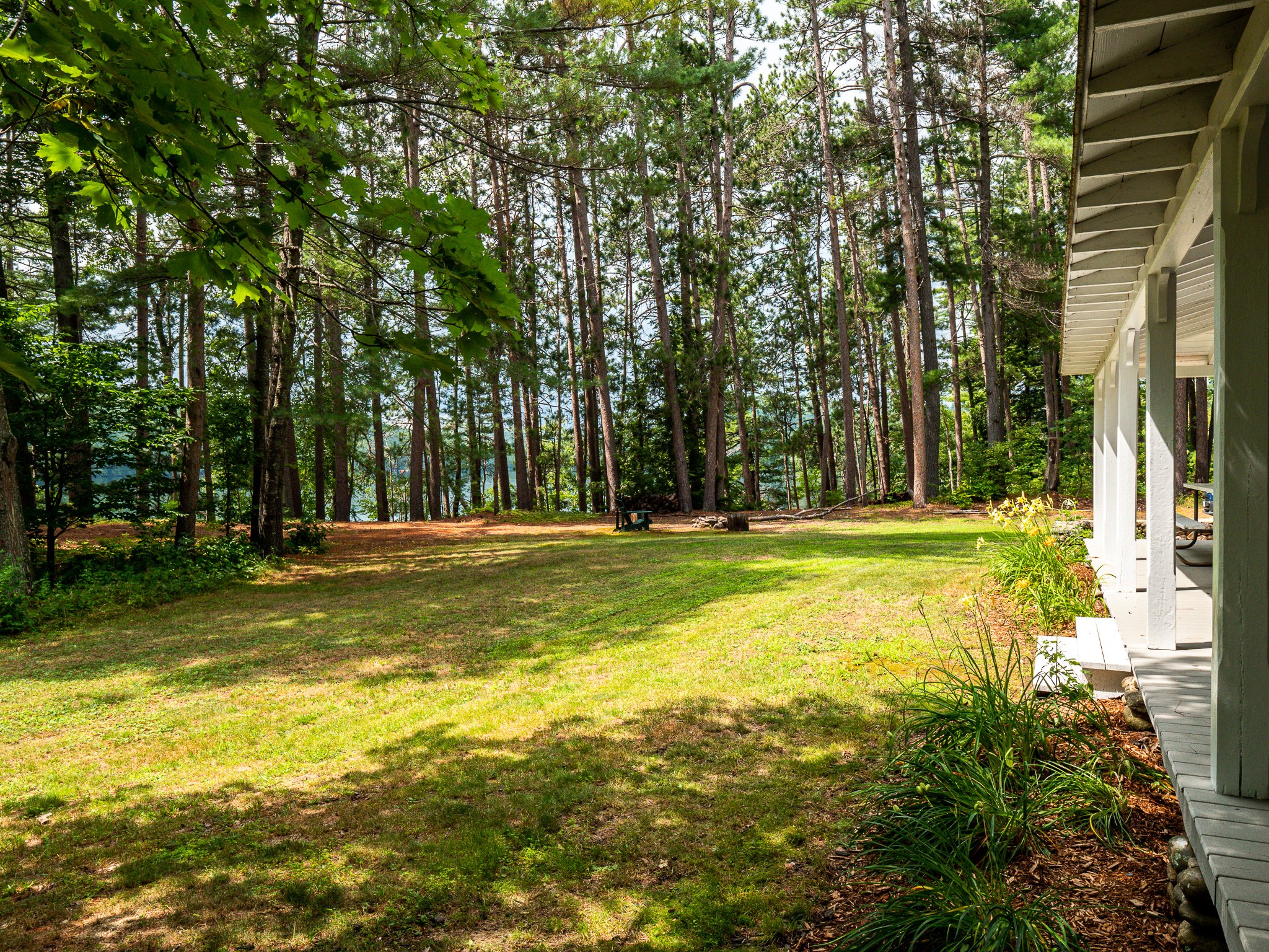 A scenic view of a grassy yard with trees and a white porch on the right. Sunlight filters through the leaves, casting shadows on the lawn. The woods extend towards a body of water visible in the background.