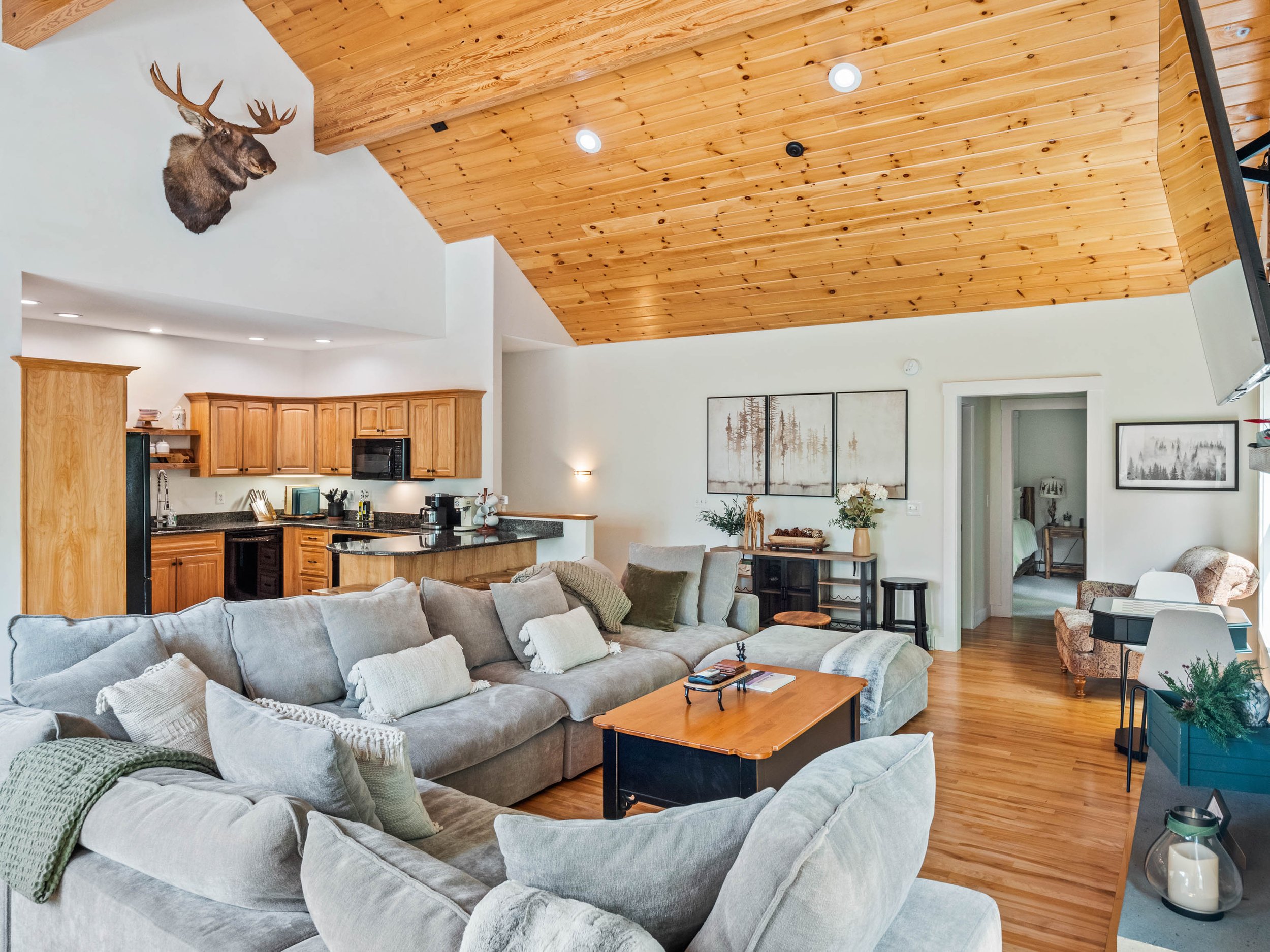 Treetop new couch-8.jpg