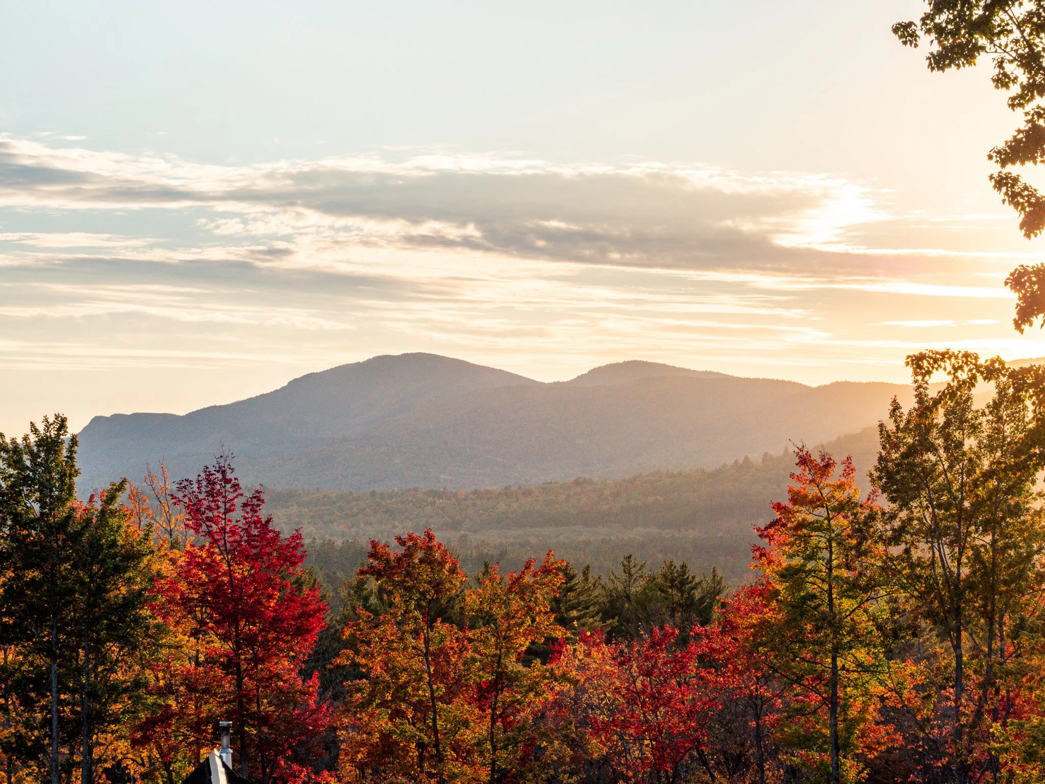 Autumn landscape with colorful trees and distant mountains at sunset