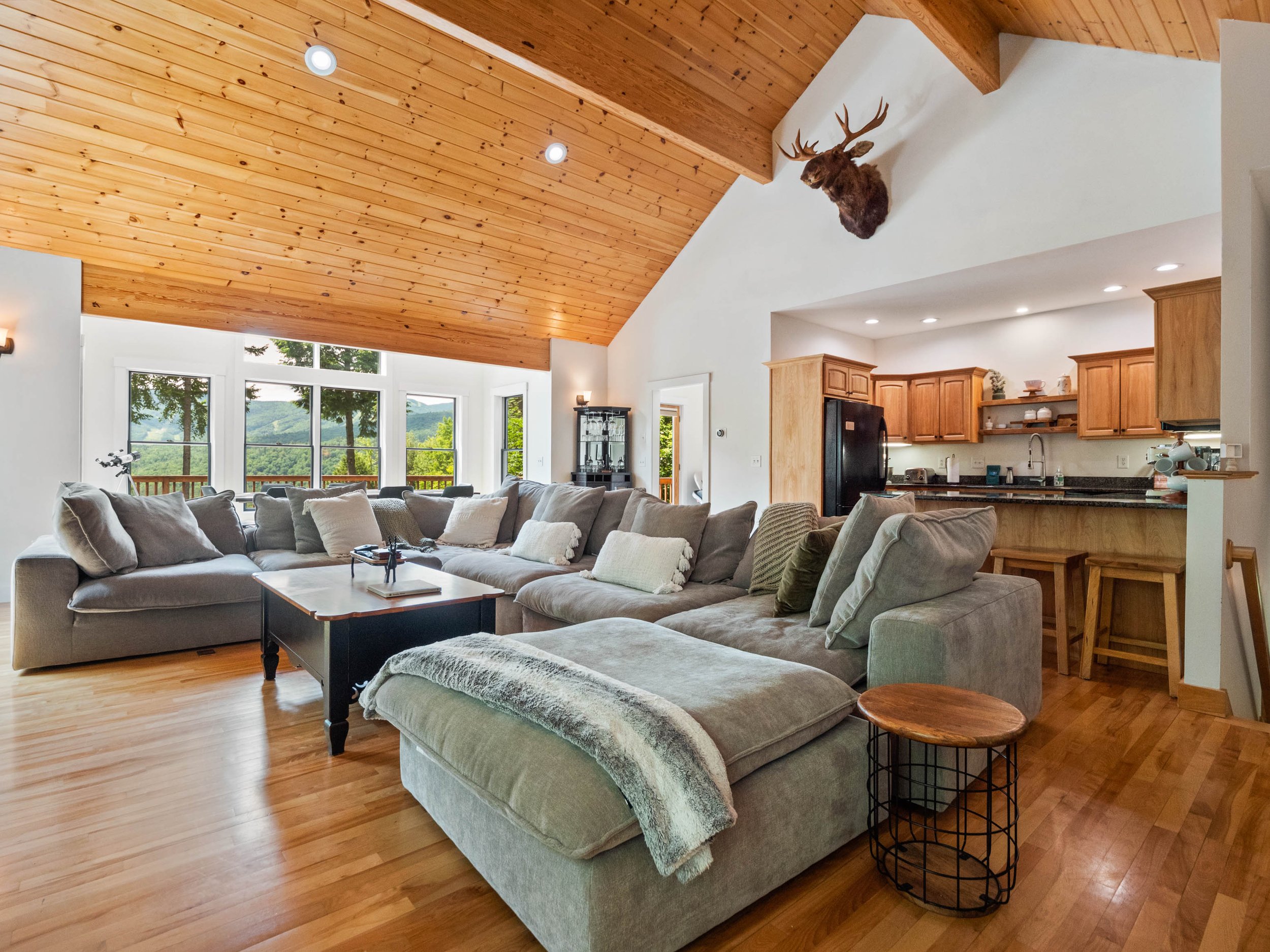 Treetop new couch-6.jpg