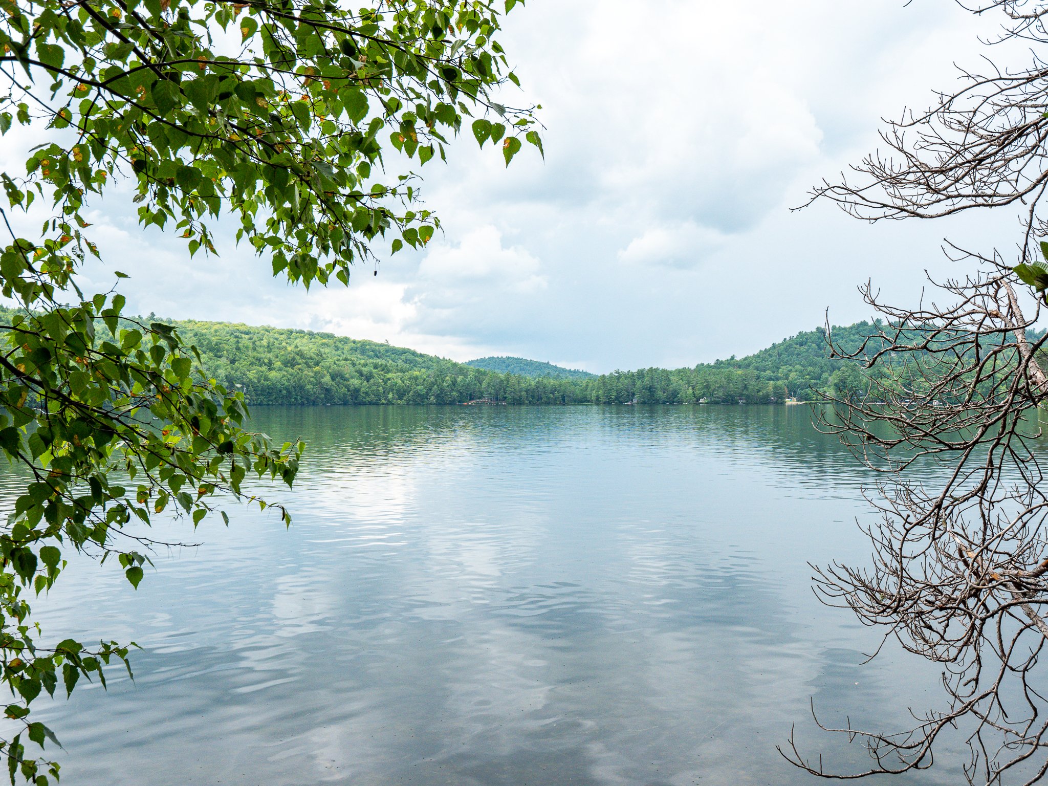 Serene lake with green hills and tree branches on a cloudy day