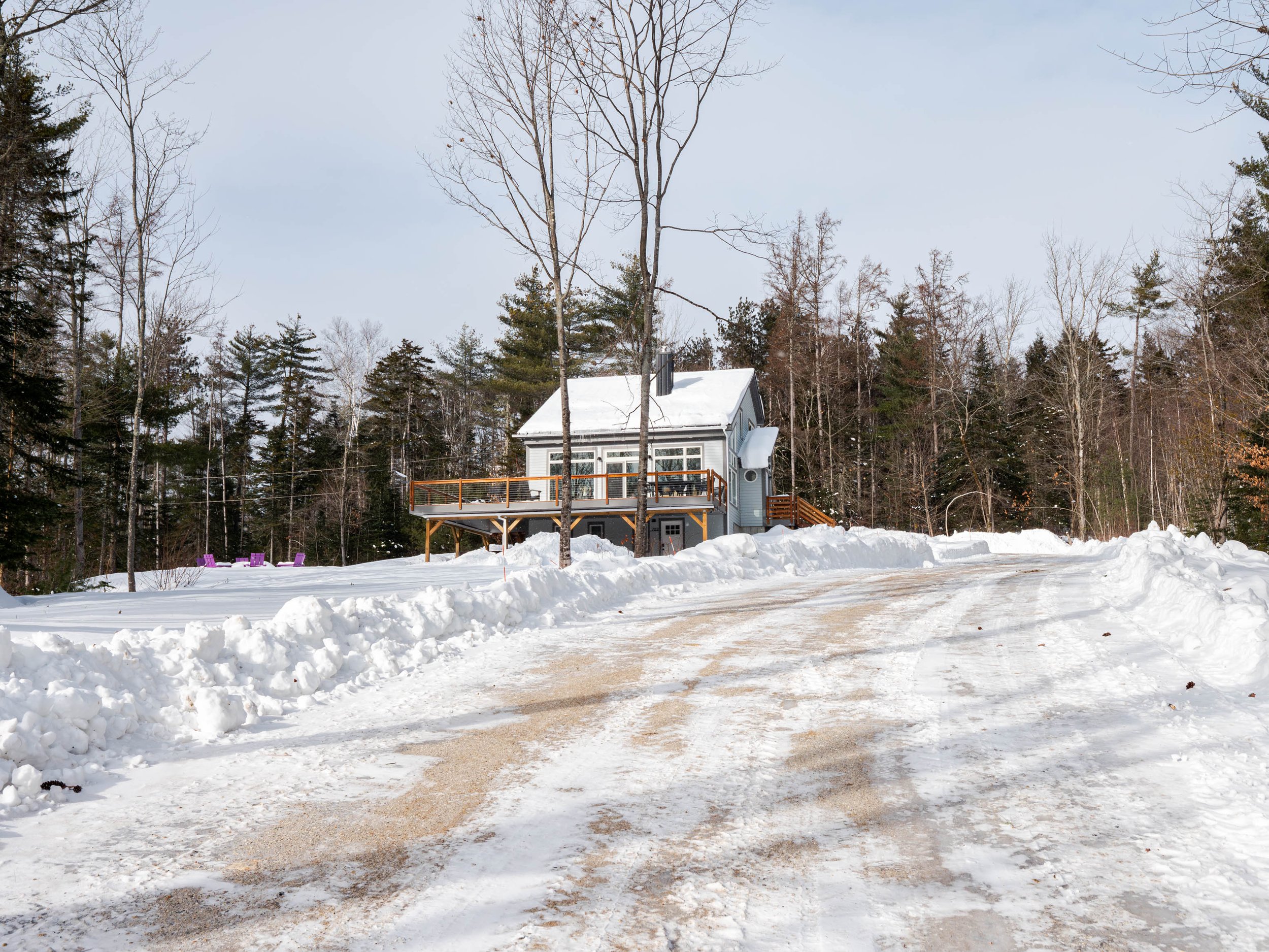 Snow-covered driveway leading to a house with a deck, surrounded by trees in a winter landscape.