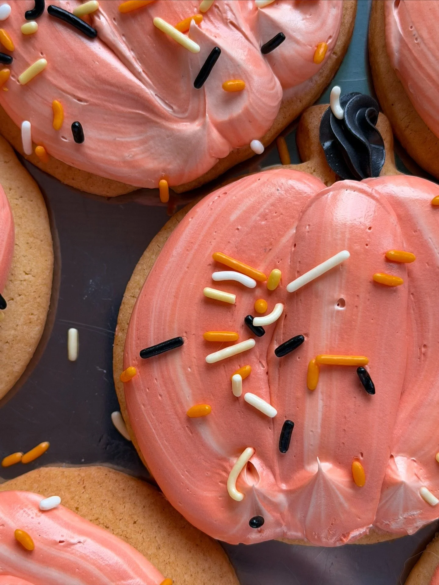 Little moments of orange everywhere this week&hellip; 

Happy Halloween from us, spooky treats in store 🧡