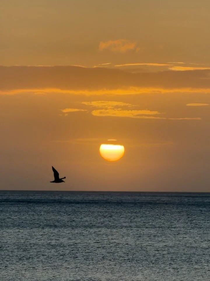 Our week was a goodie 🥰

1. Some of the best sunrises we&rsquo;ve seen in ages
2. We made a cake for @sombrhq &mdash;> swipe to the end!
3. Some of the good stuff
4. Our team sharing the love
5. Creativity in the cafe 
6. Chocolate goodness
7. Lo