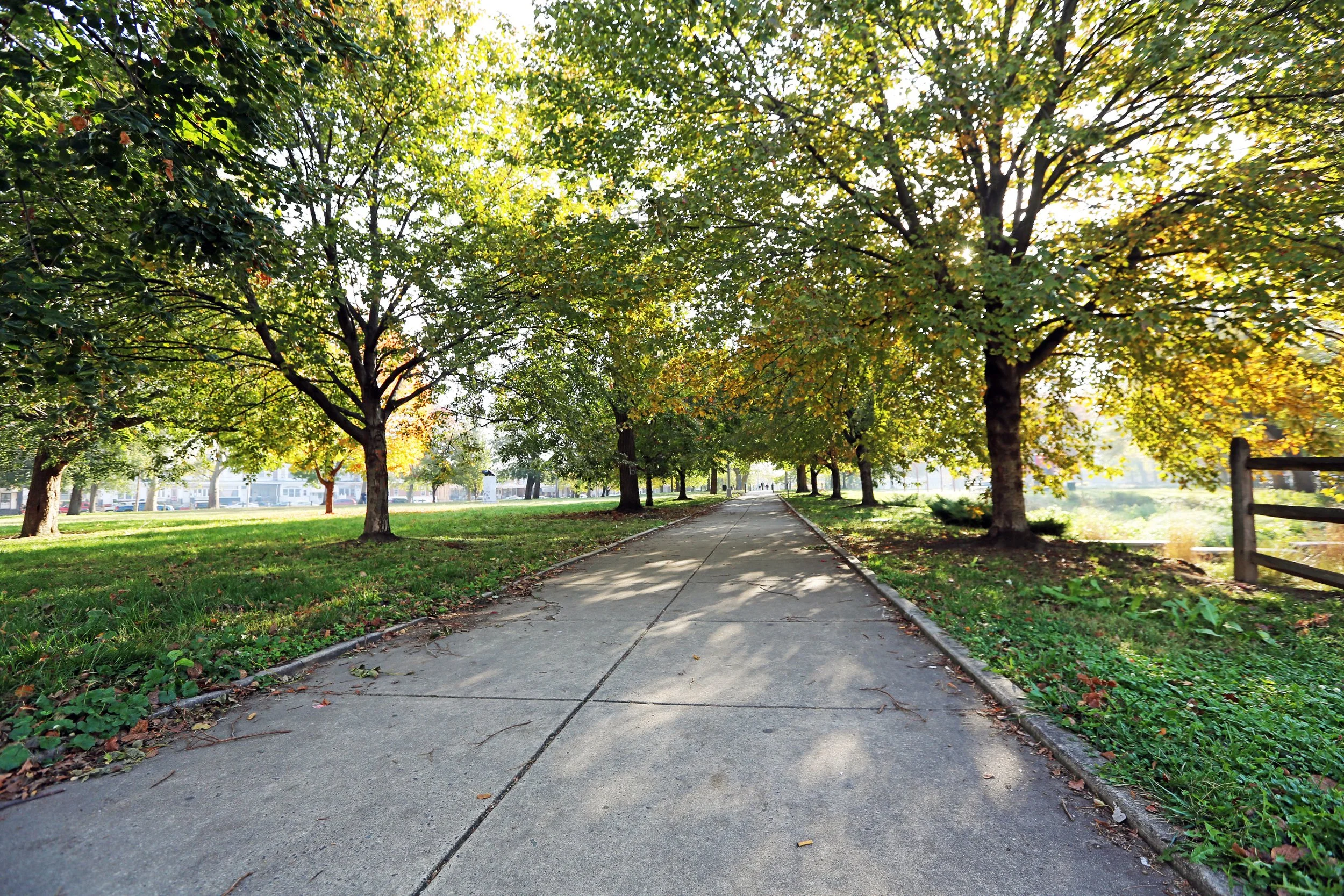 Harrowgate Park