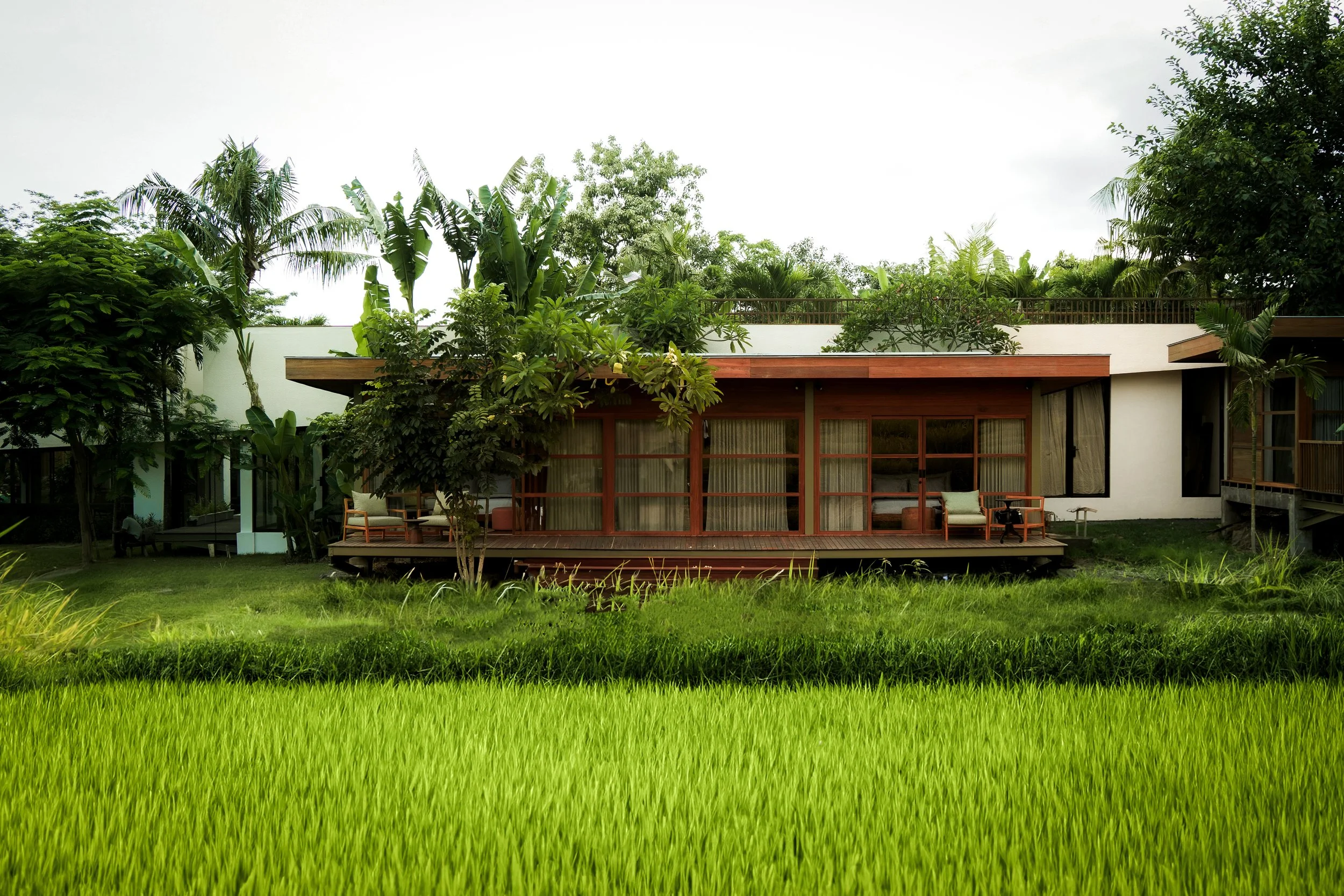 Studio Suite copy.jpeg