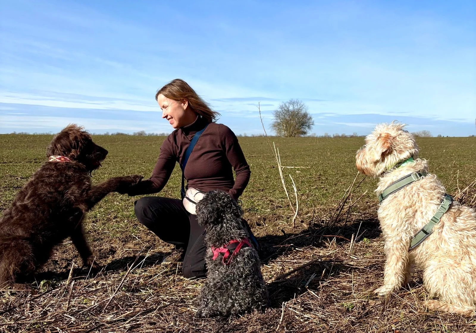 Frau mit weißem Hund im Wald