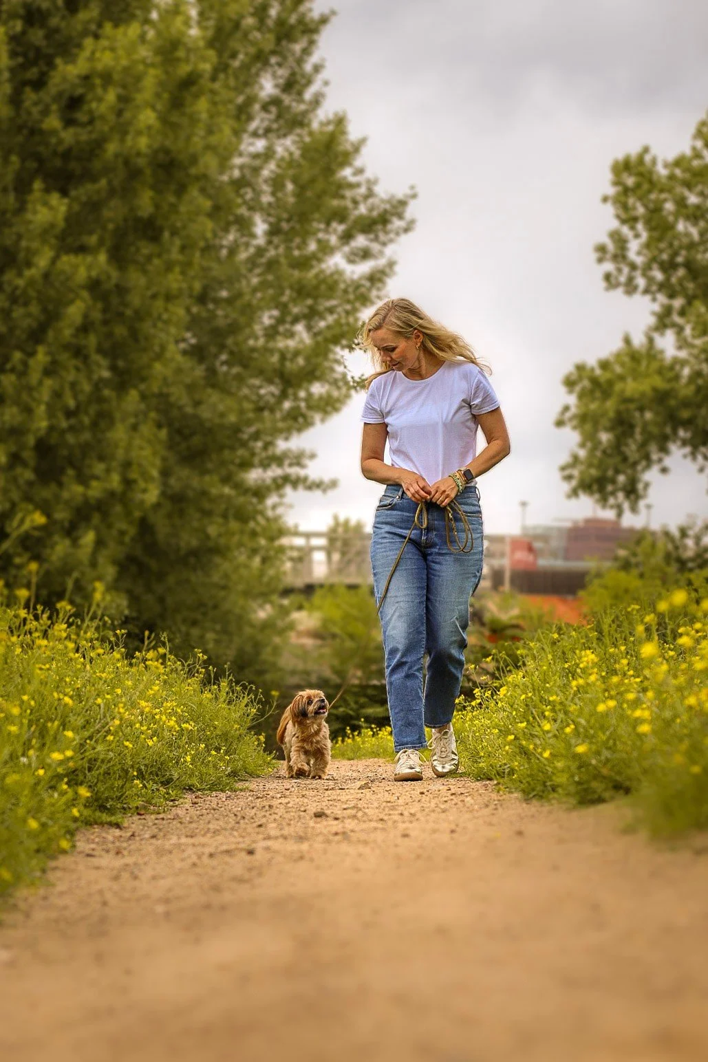 Hundetrainerin Nancy Baumeister von Dogs and the City geht mit einem kleinen Hund auf einem Weg durch grüne, blühende Natur, im Hintergrund Bäume und eine Stadtansicht unter bewölktem Himmel.