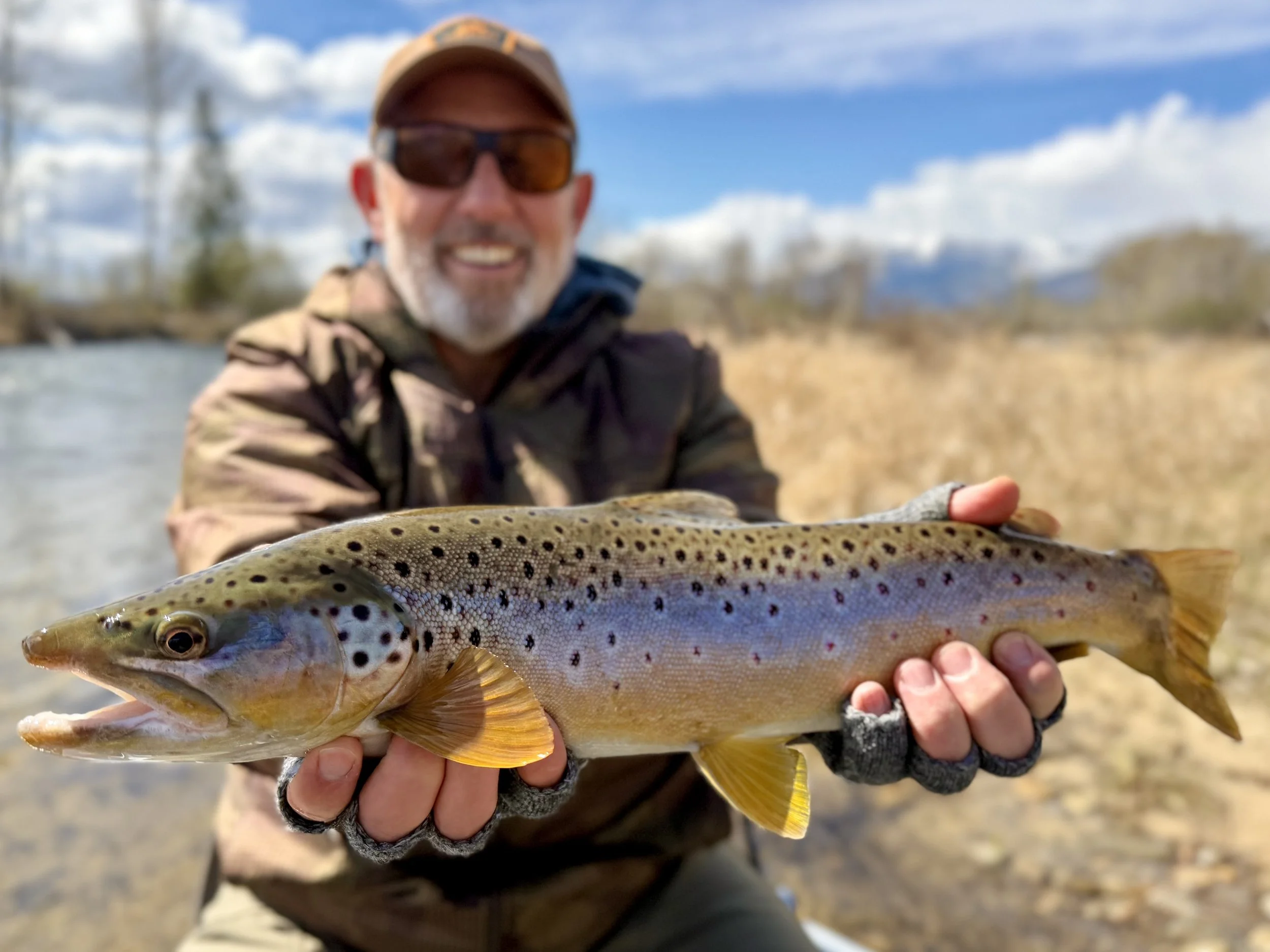 Dry Fly Wet april