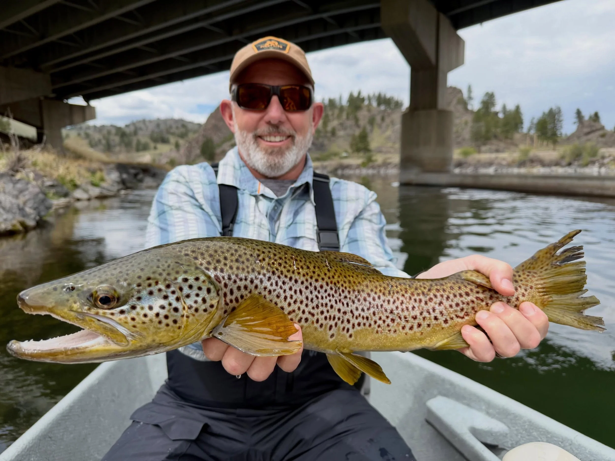 Tony and Jen making easy work of some nice brown trout 🤘🏽#montana #flyfishing #guidelife