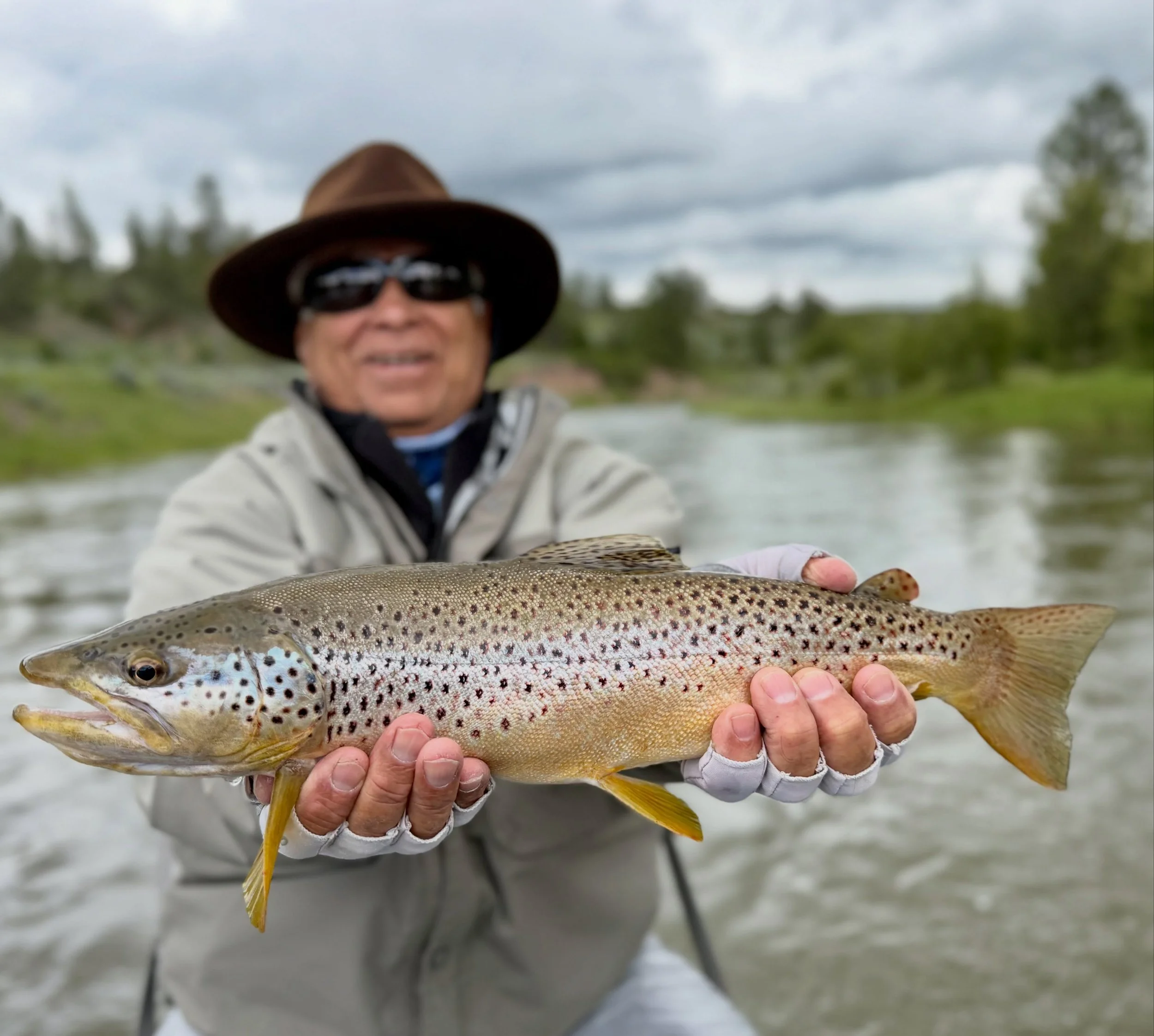 Big browns every day right now! June is 🔥 the rain is coming and has been here, we are looking wet and fresh for the summer. HMU for a chance at some trophy trout, I even show you how to hold them so you can have that Montana memory! #missoulaflyguy