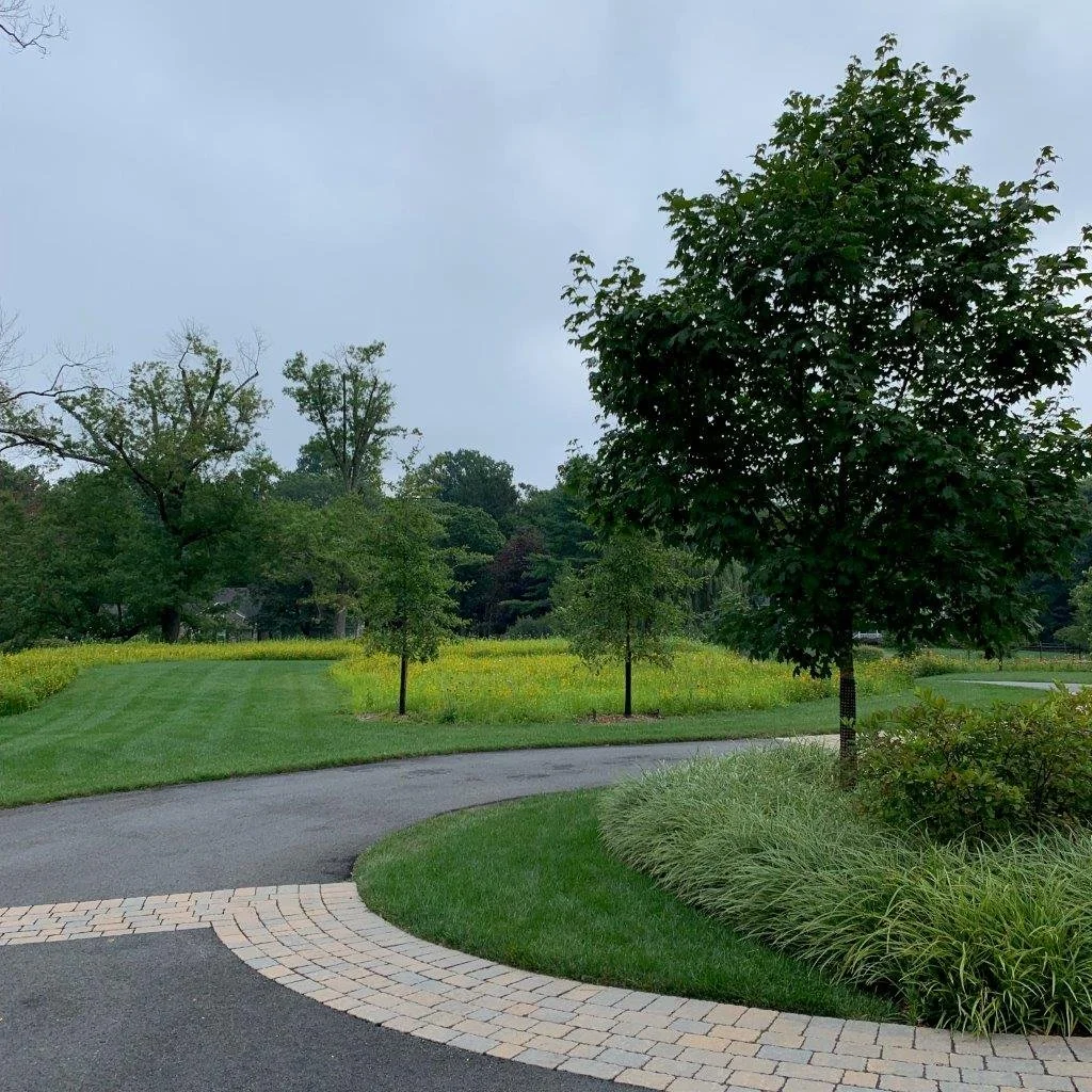Paver driveways in Chatham, NJ