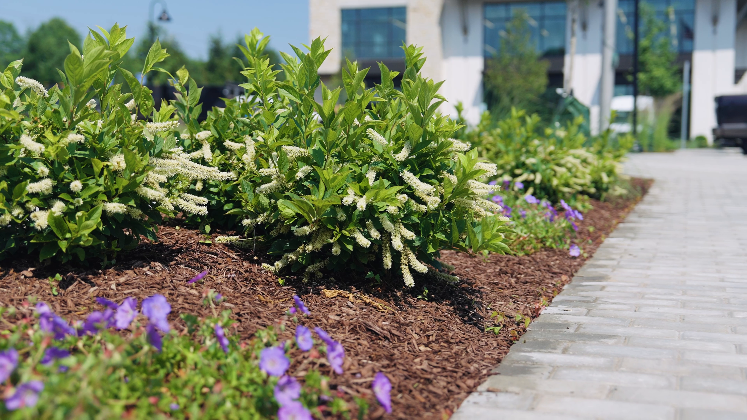 Commercial landscaping experts in Denville, NJ