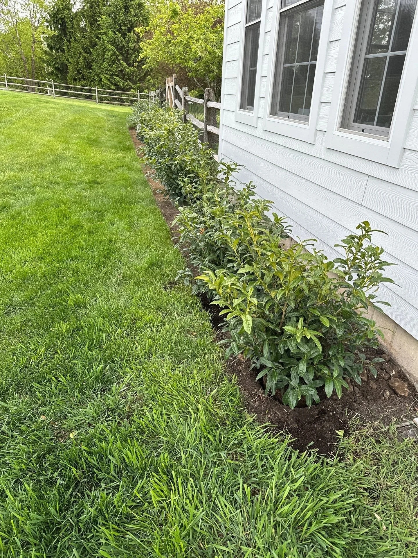 Landscape maintenance and new plantings by BTS Landscaping