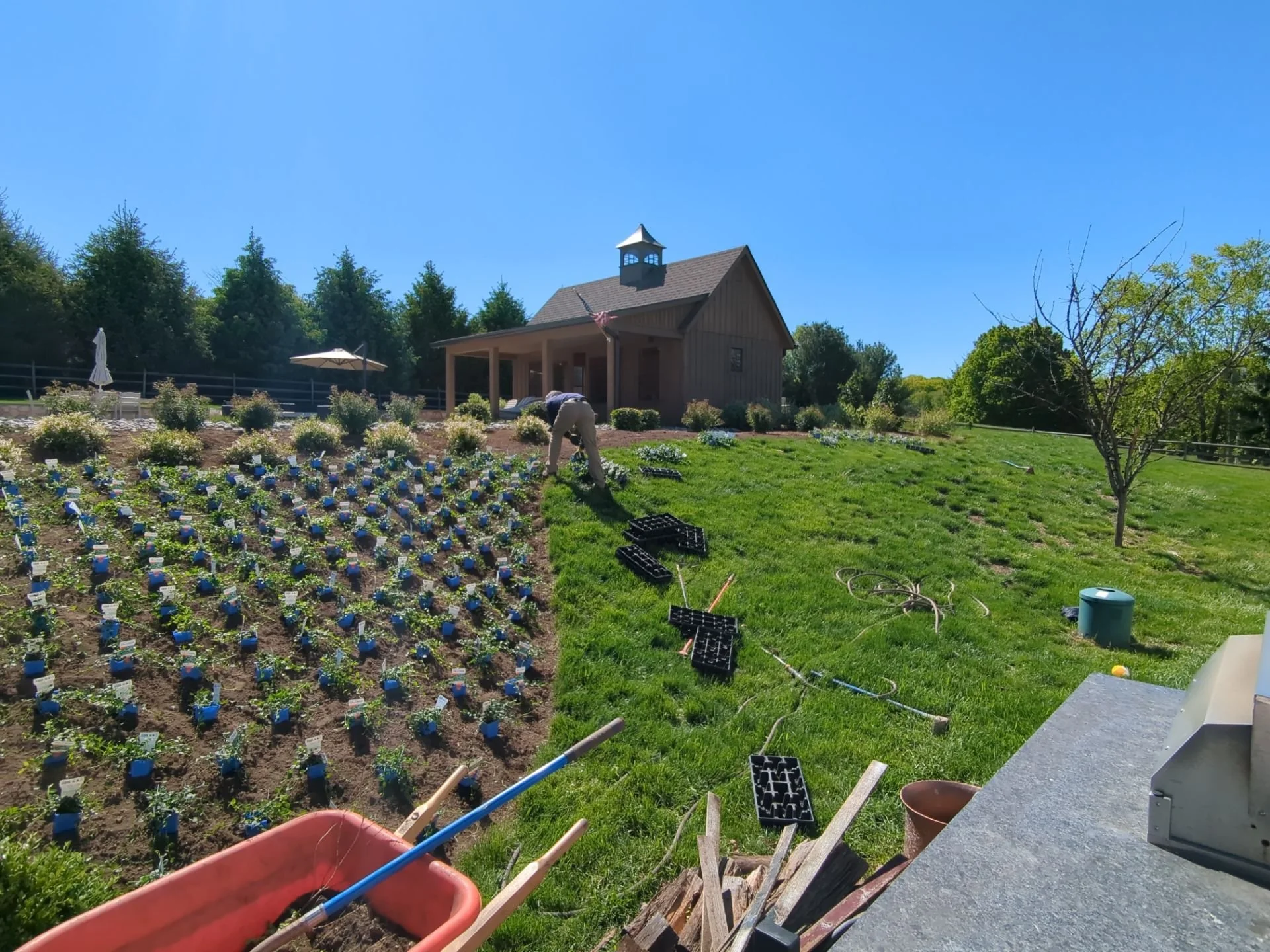 BTS Landscaping plantings in the backyard of a Long Valley home