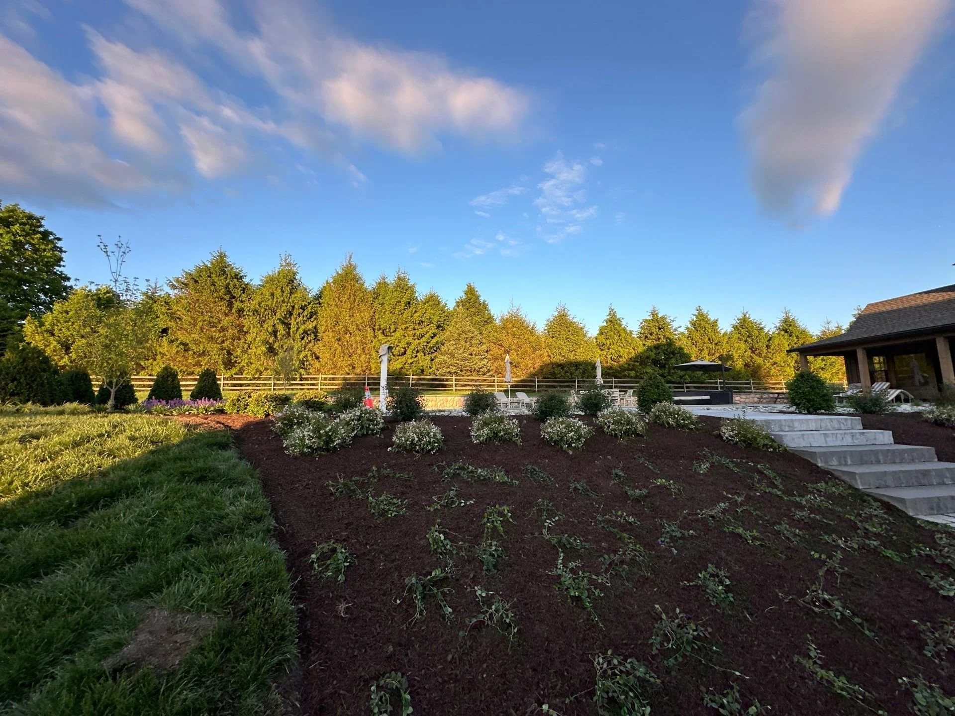 Mulch garden bed and paver steps