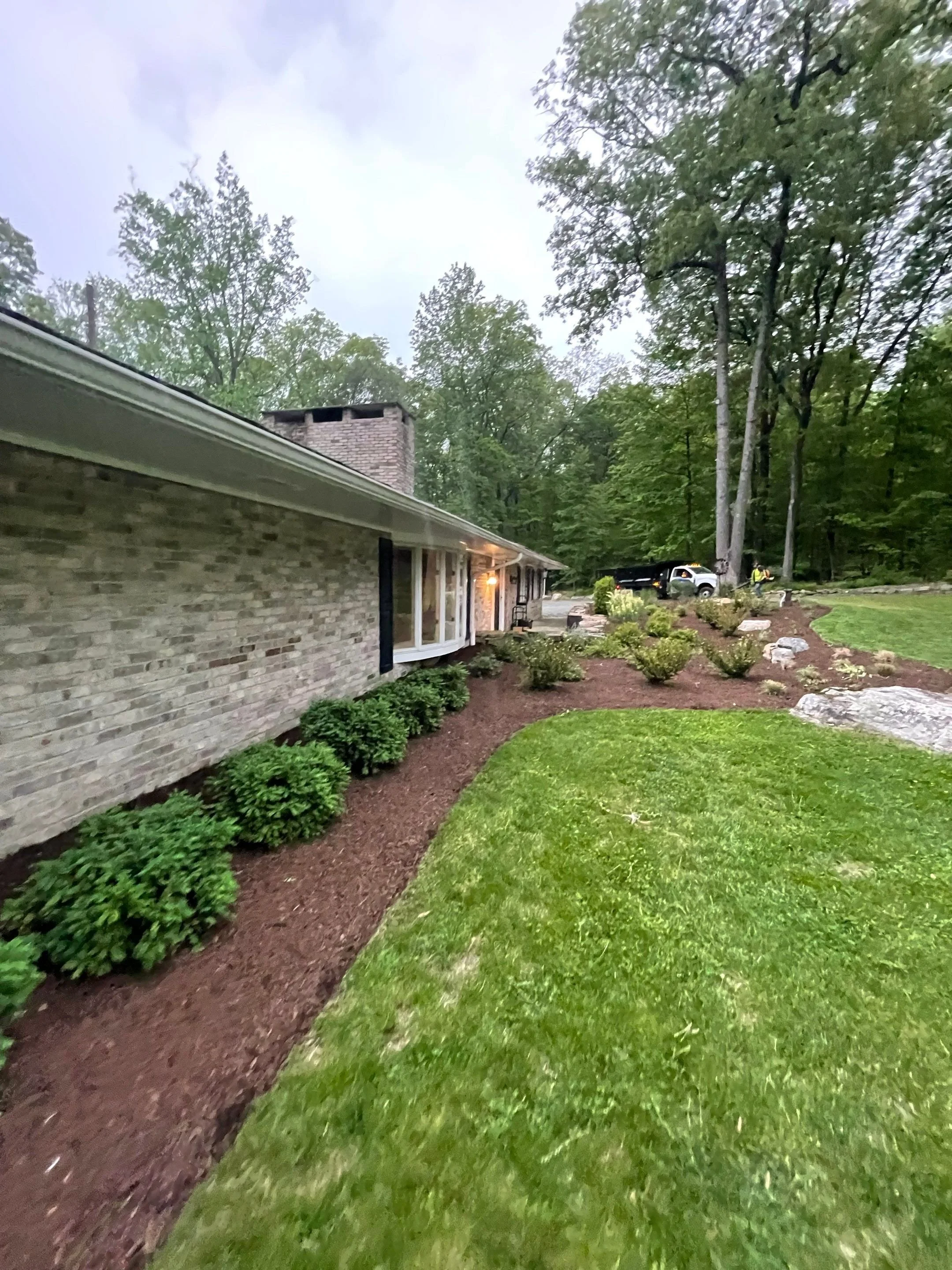 Side yard landscaping with layered foundation plantings, stone walkway, lawn, and mature trees